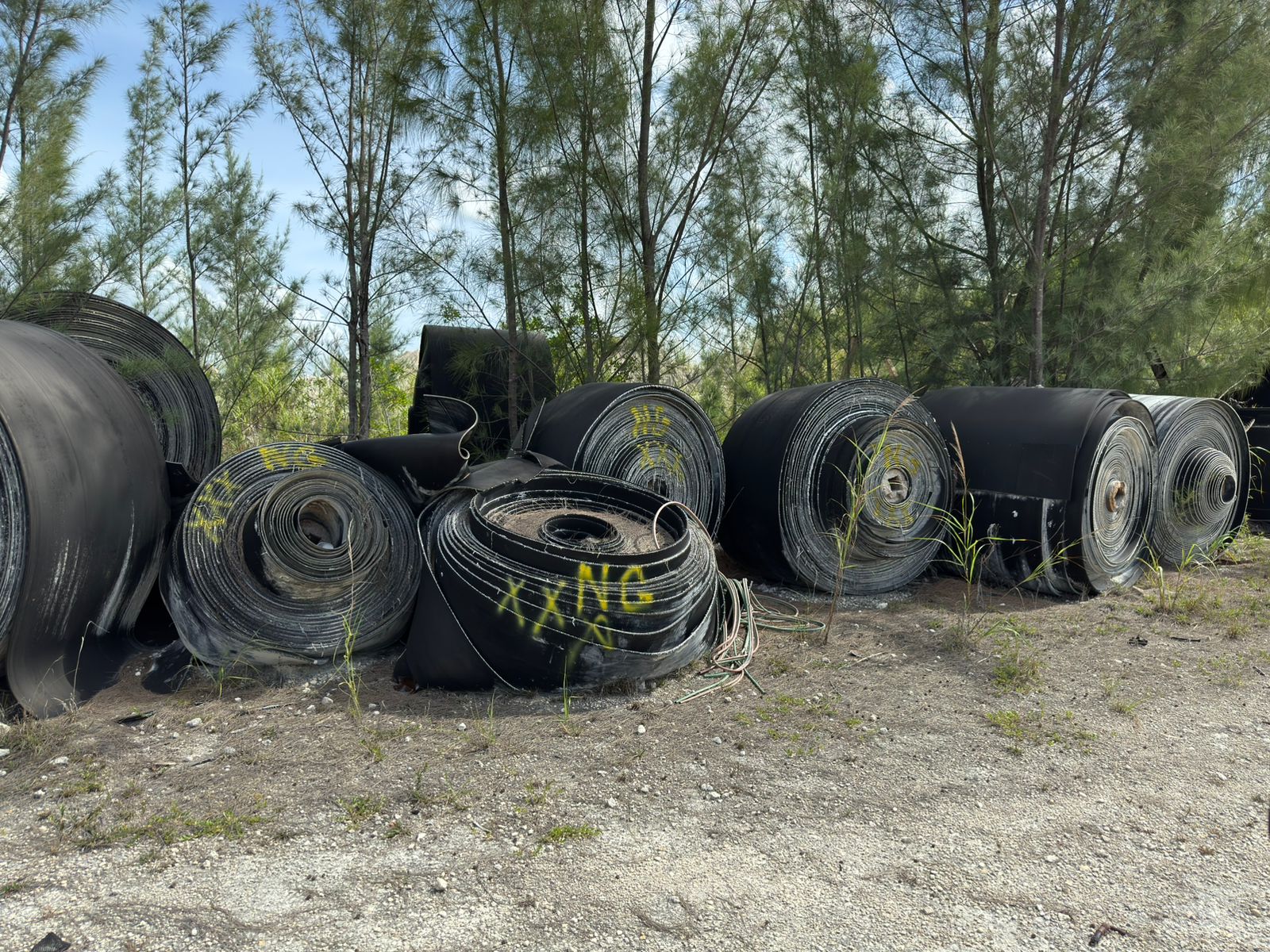 BULK QTY OF CONVEYOR BELTS - undefined