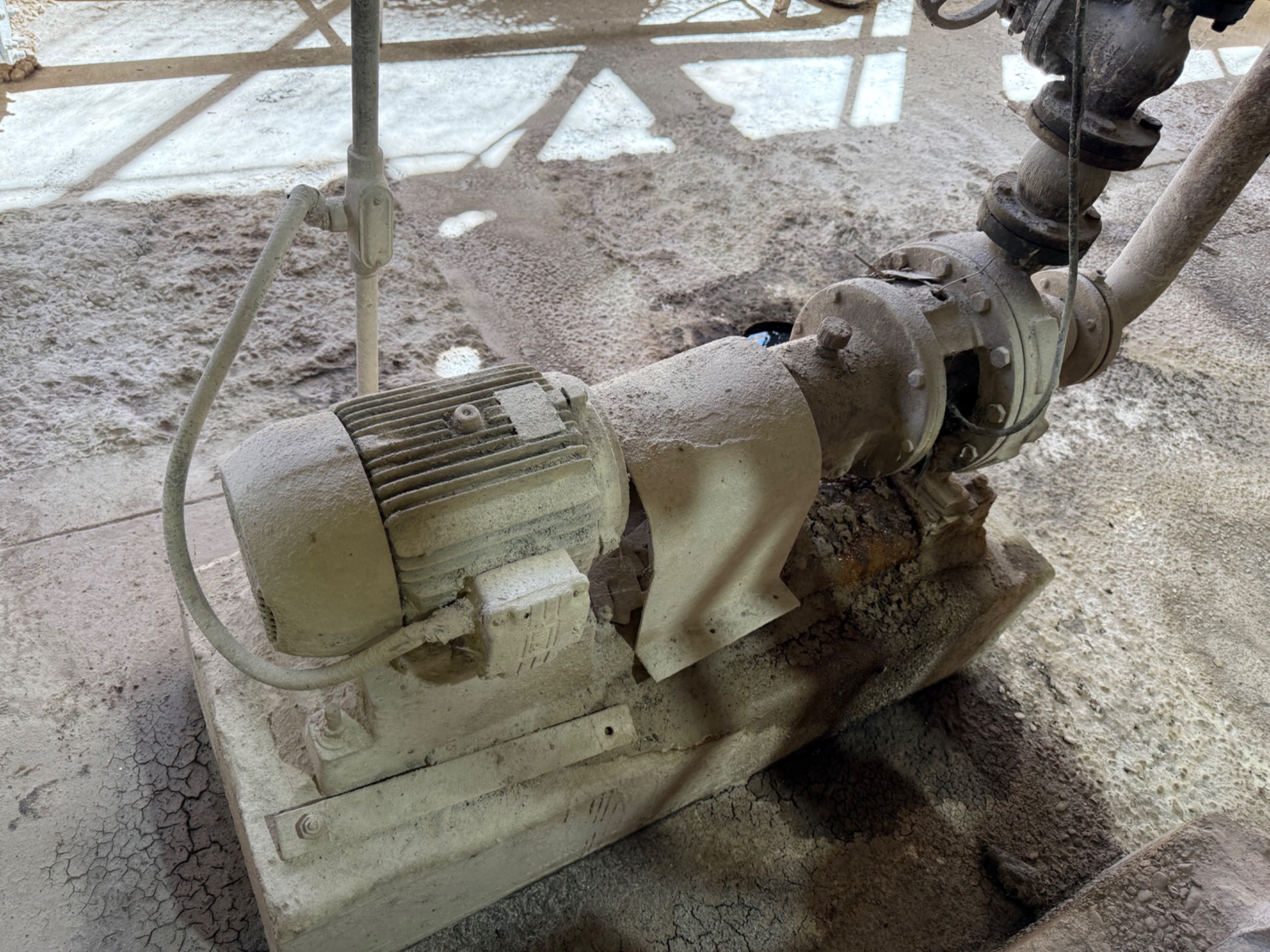 GOULDS 3196 PUMP & 10 HP MOTOR ASSEMBLY - undefined