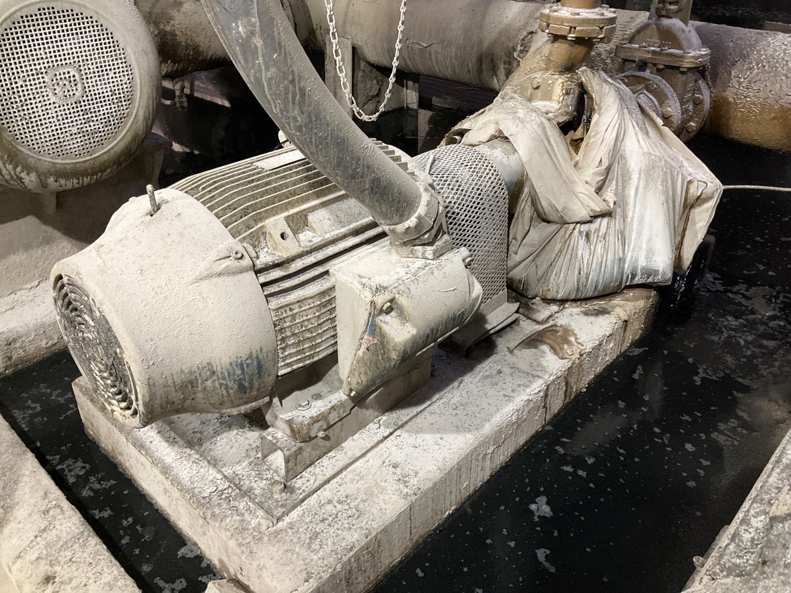 PUMP & MOTOR ASSEMBLY - undefined