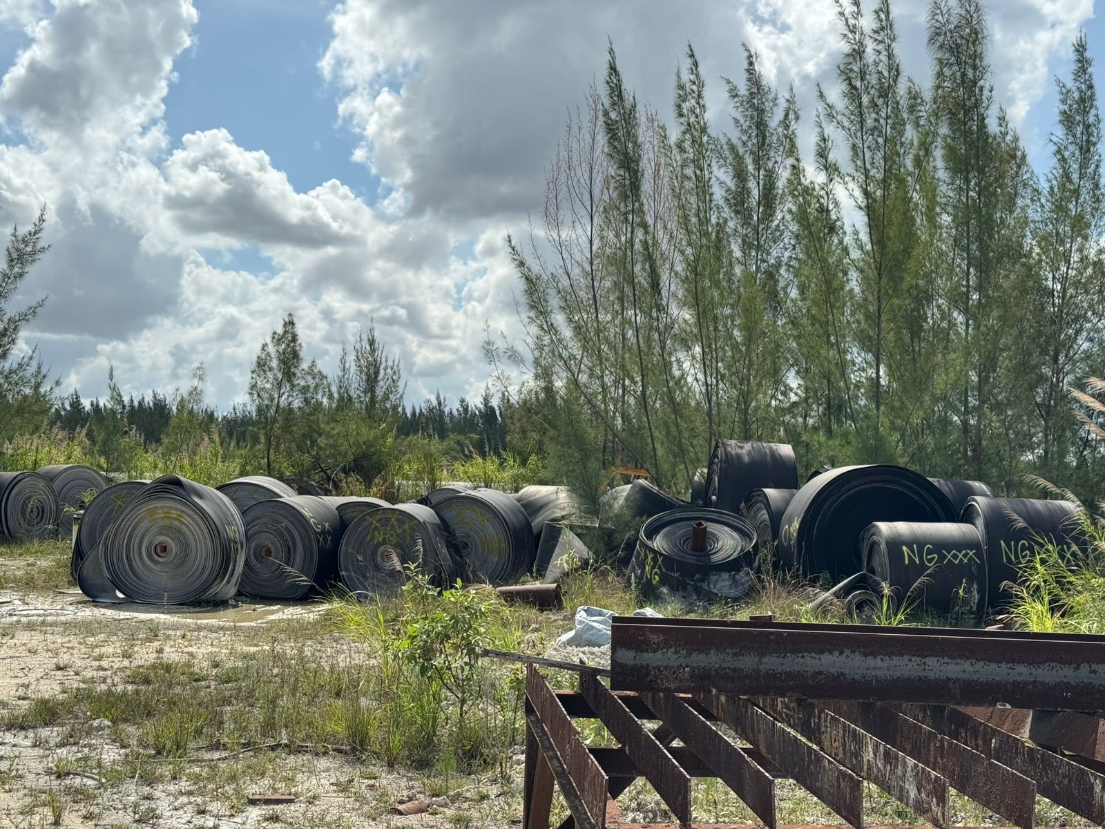 BULK QTY OF CONVEYOR BELTS - undefined