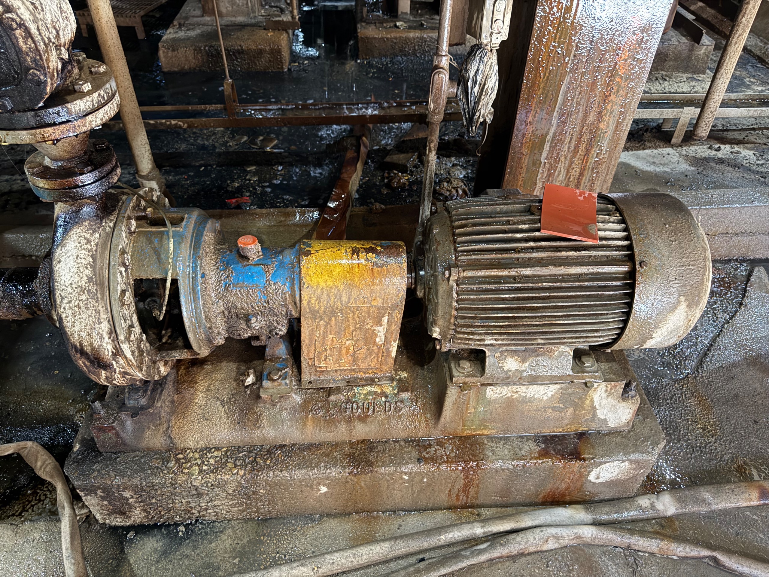 GOULDS 3196 PUMP & 30HP MOTOR ASSEMBLY - undefined