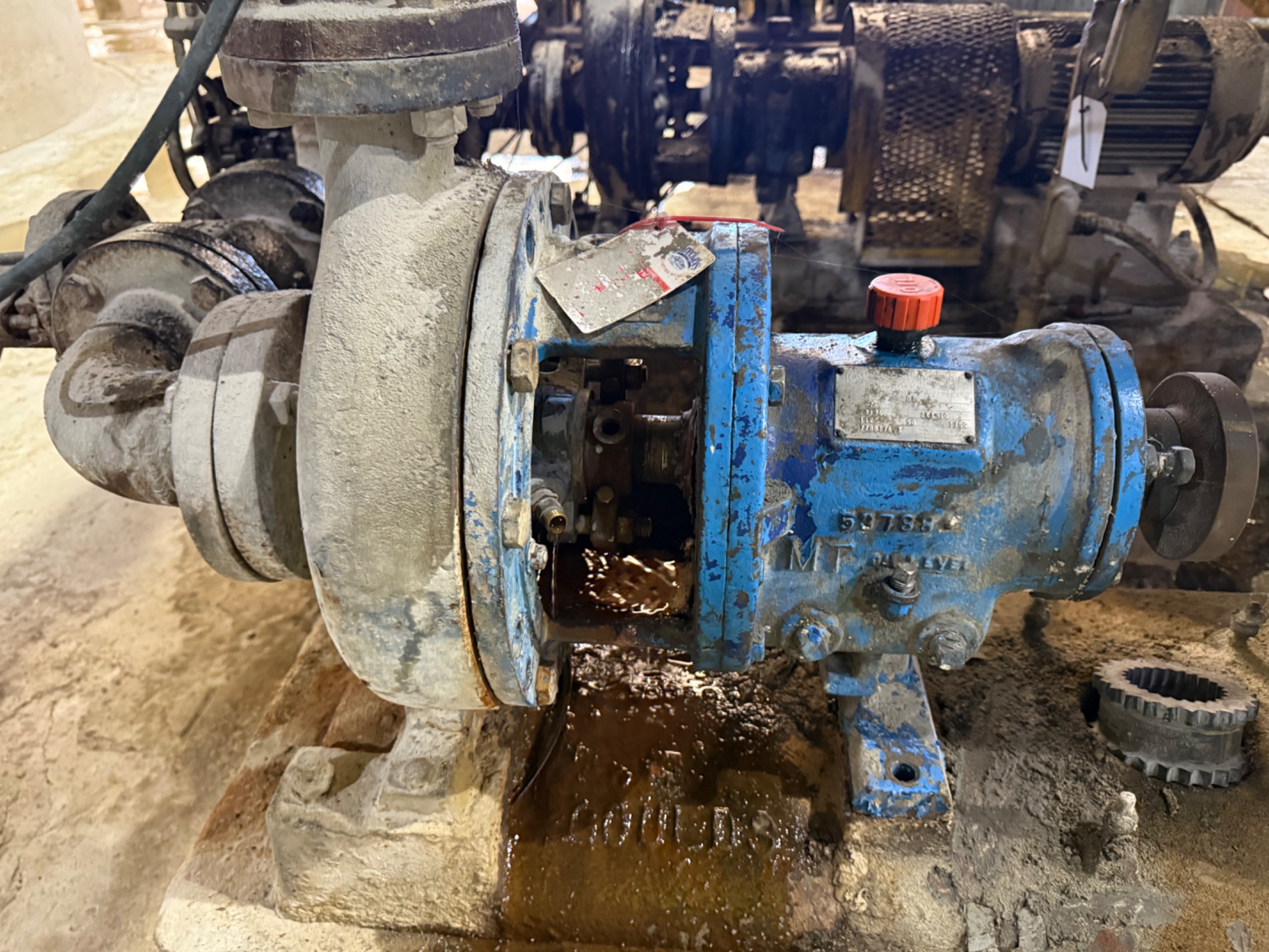 GOULDS MT 3196 PUMP & 10 HP MOTOR ASSEMBLY - undefined