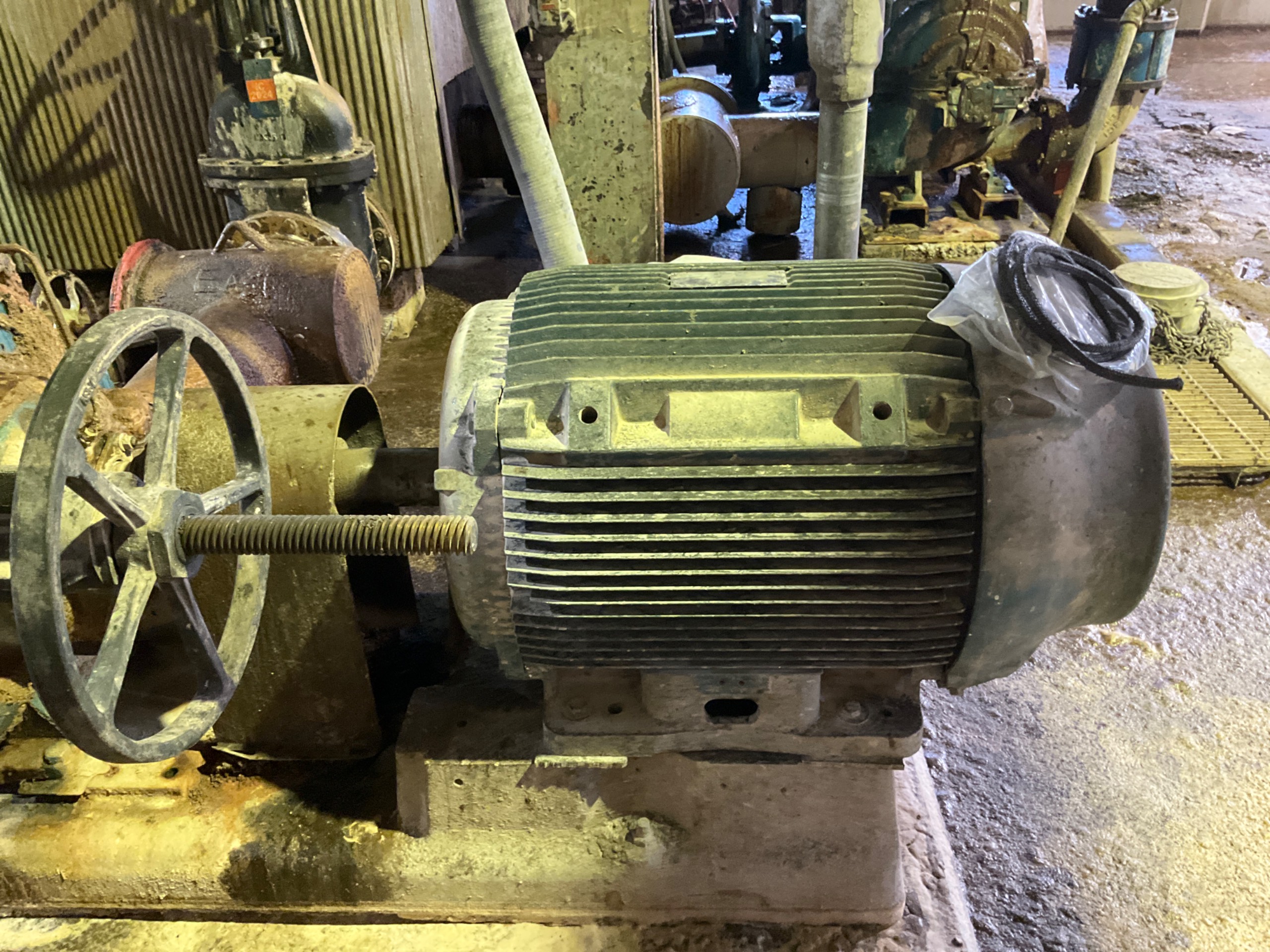 GOULDS PUMP & 100HP MOTOR ASSEMBLY - undefined