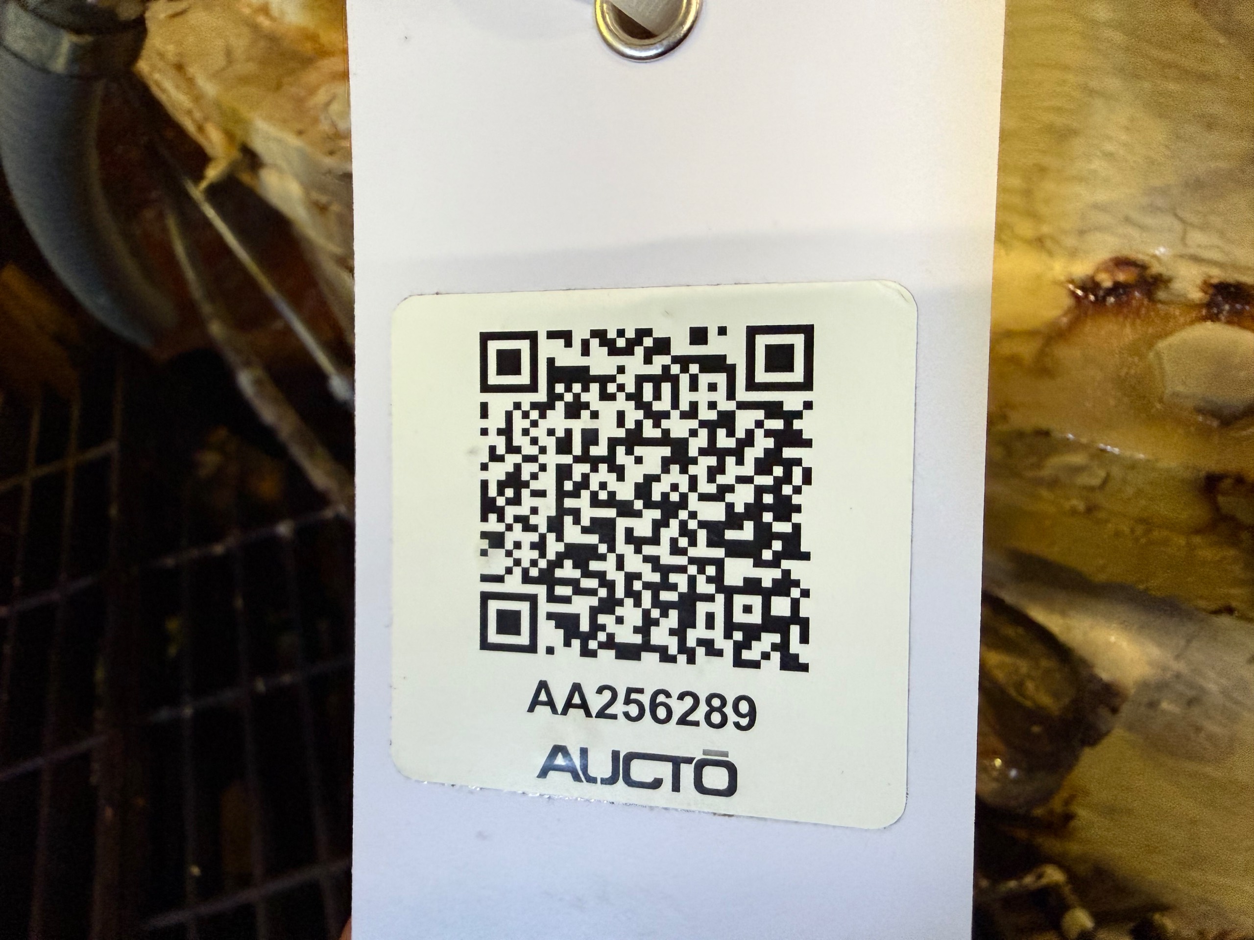 1975 THE WESTERN STATES MACHINE CC-V CENTRIFUGAL SEPARATOR - undefined