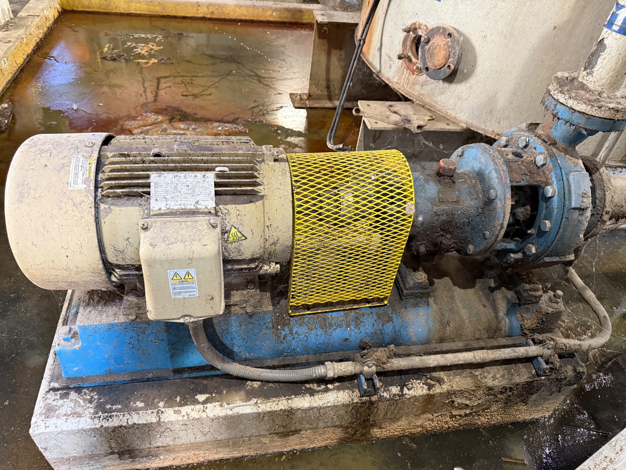 GOULDS 3196 PUMP & MOTOR ASSEMBLY - undefined