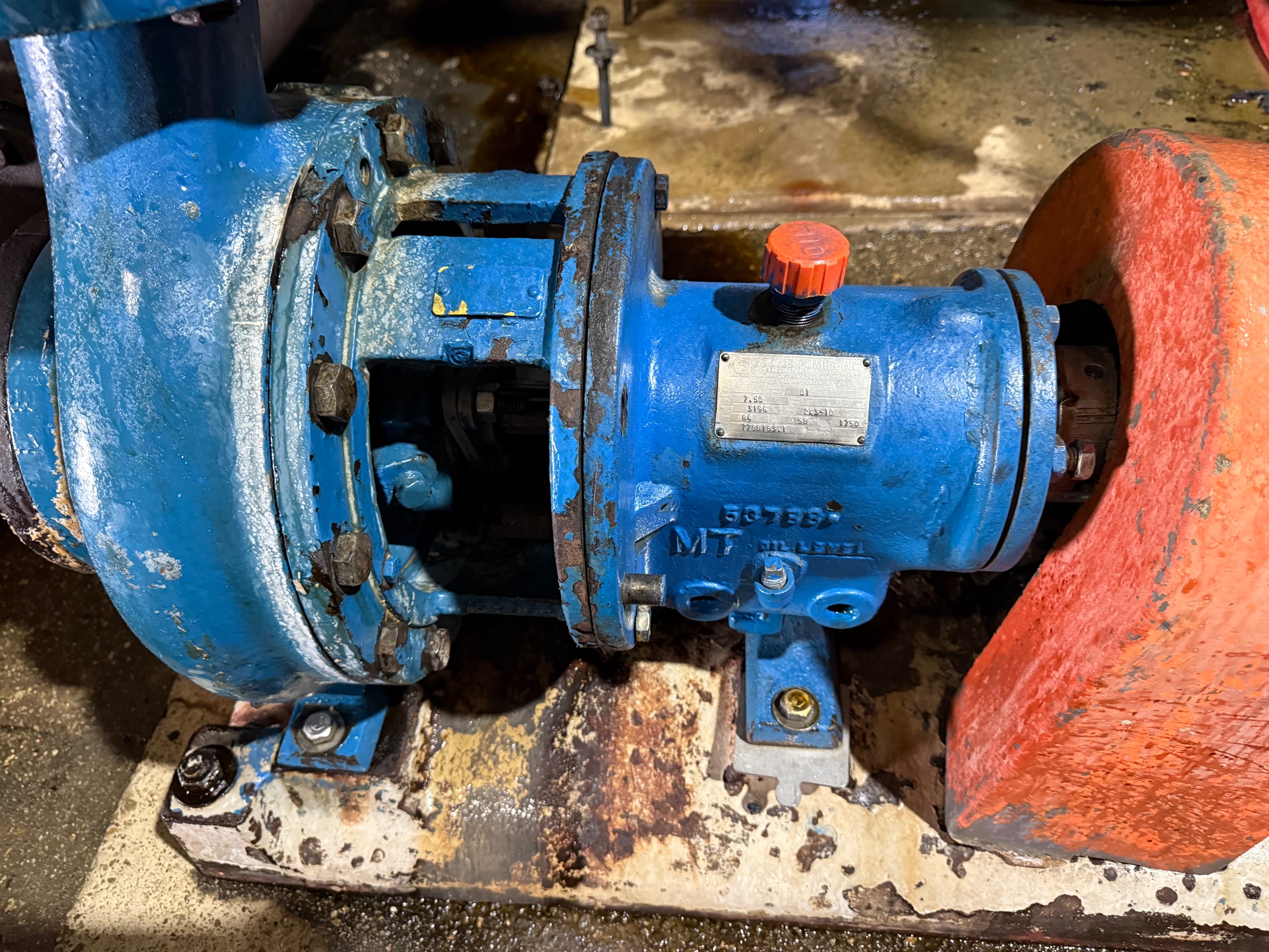 GOULDS 3196 PUMP & 30 HP MOTOR ASSEMBLY - undefined