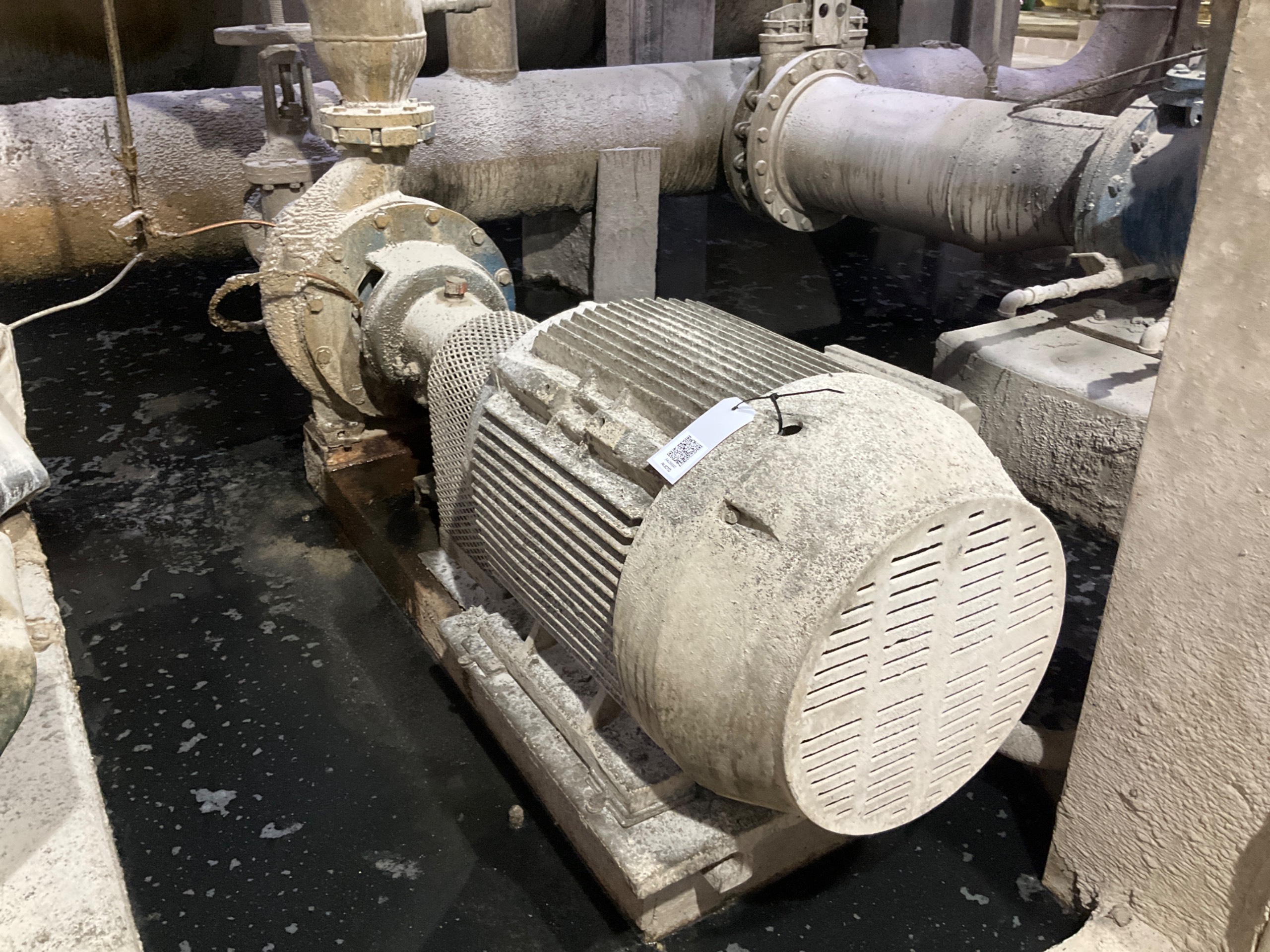 STAINLESS CENTRIFUGAL PUMP & 100 HP MOTOR ASSEMBLY - undefined