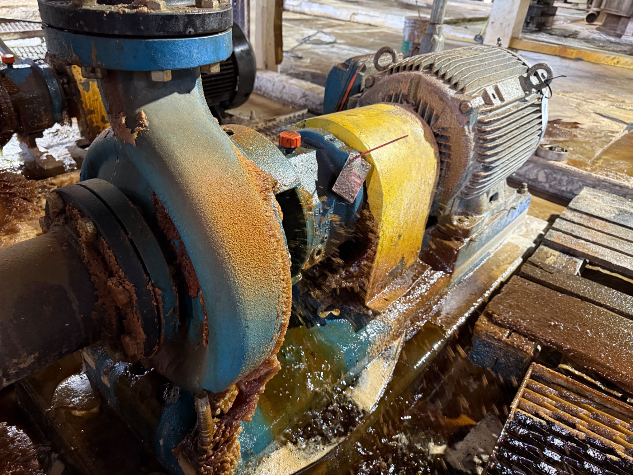 SUMMIT 2196LTO PUMP & MOTOR ASSEMBLY - undefined