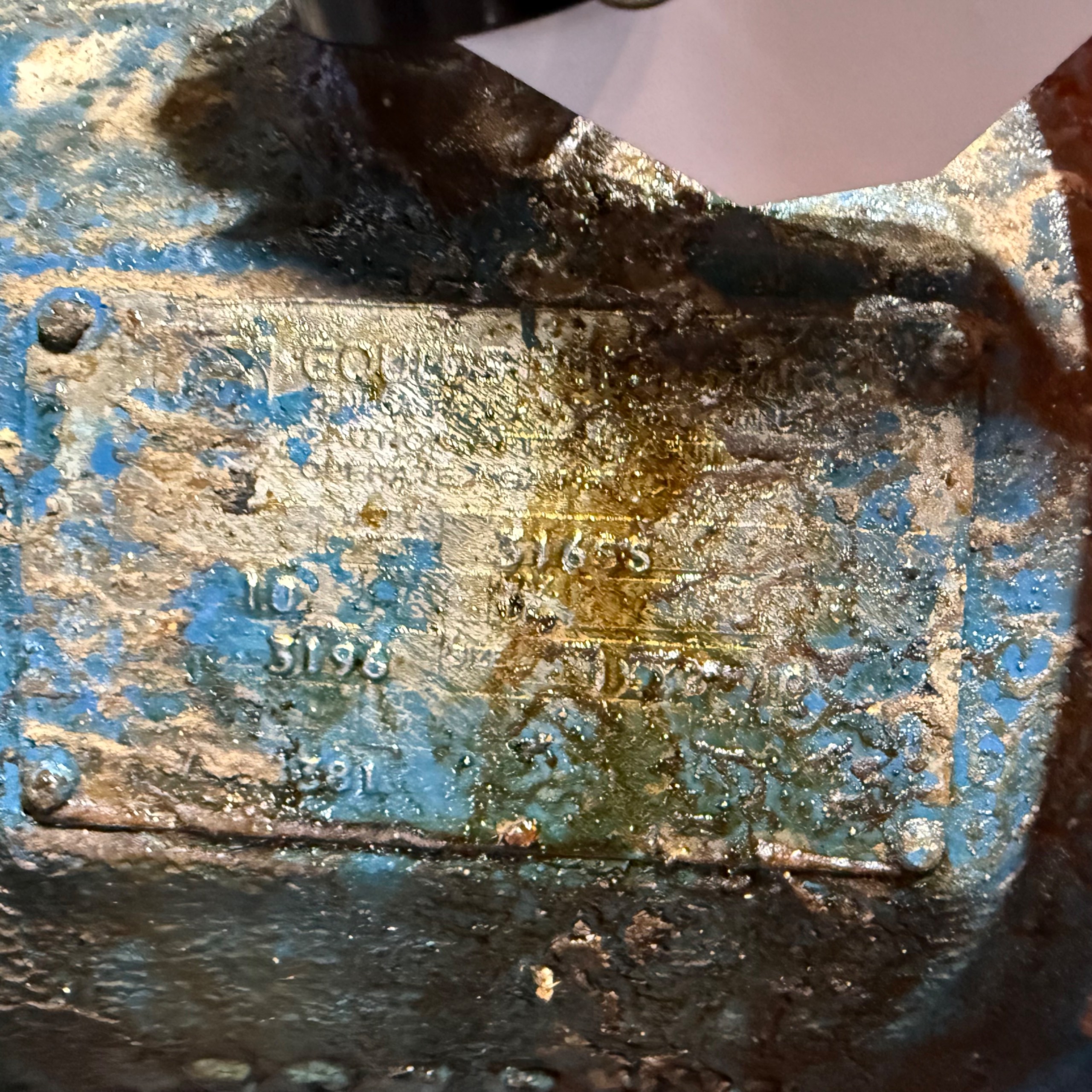 GOULDS 3196 PUMP & MOTOR ASSEMBLY - undefined