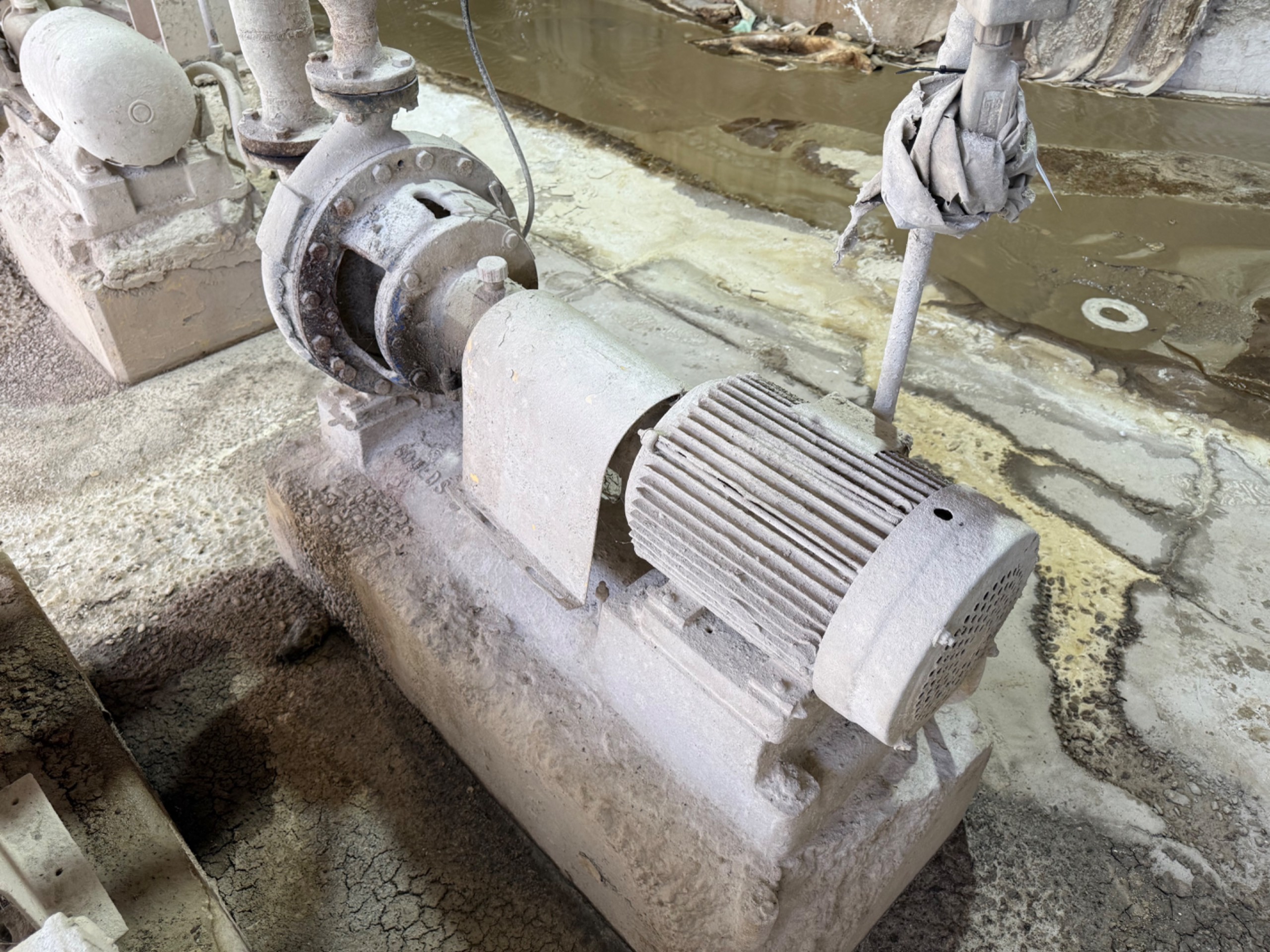 GOULDS MT 3196 PUMP & MOTOR ASSEMBLY - undefined