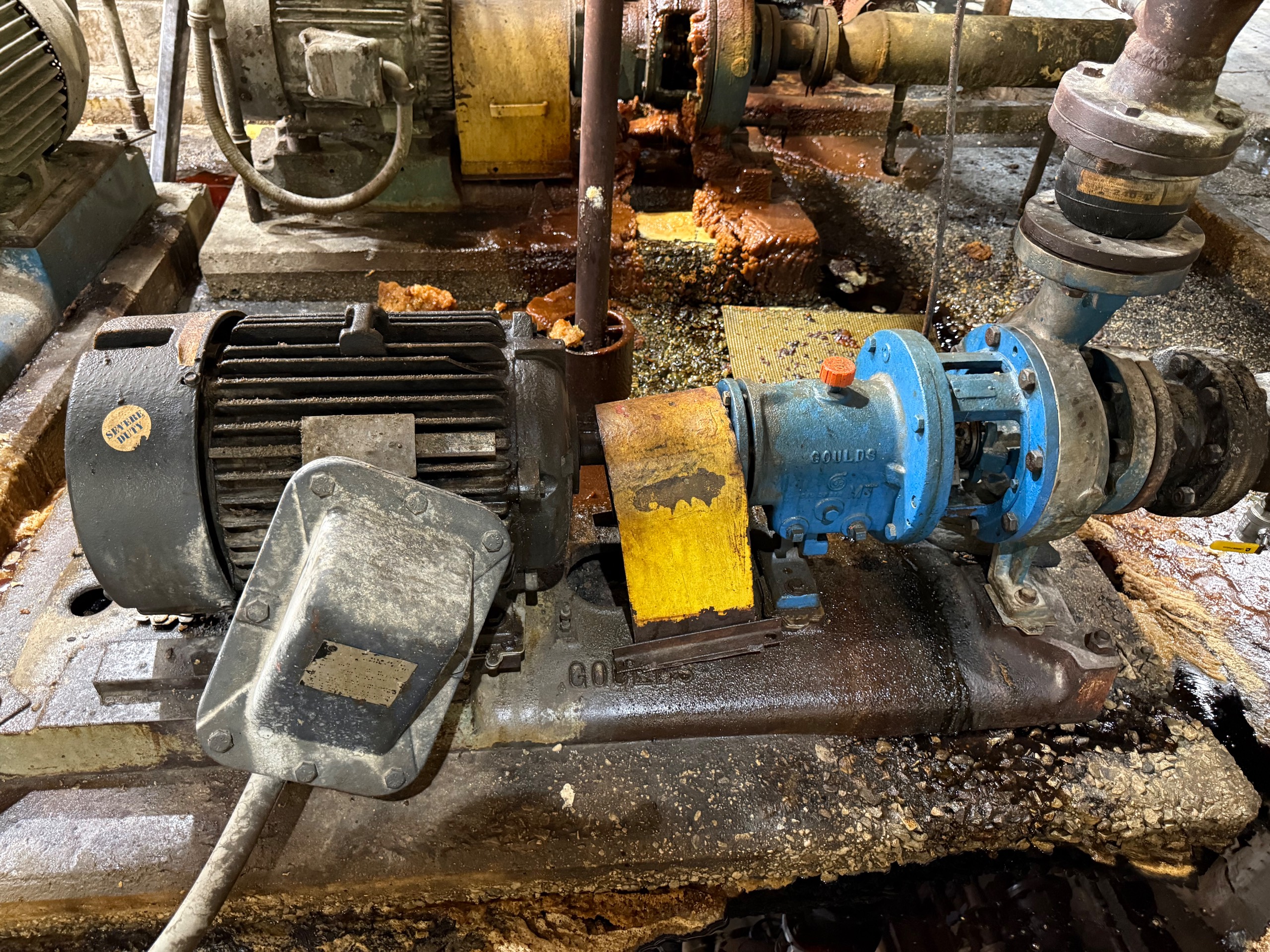 GOULDS 3196 PUMP & 25HP MOTOR ASSEMBLY - undefined