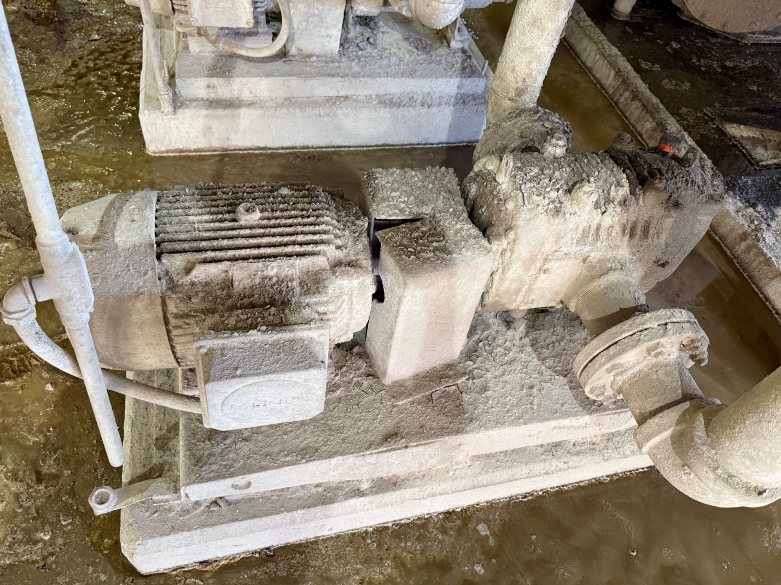 PUMP & MOTOR ASSEMBLY - undefined