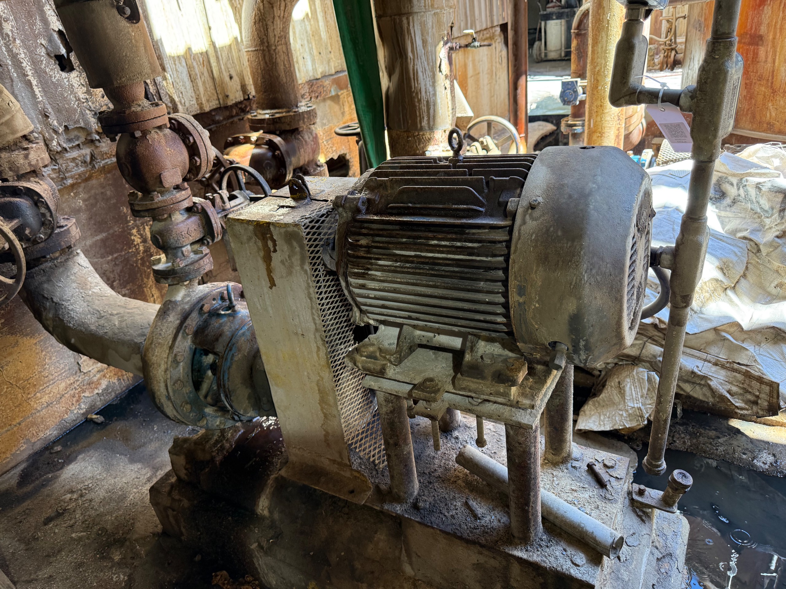 GOULDS 3196 PUMP & MOTOR ASSEMBLY - undefined