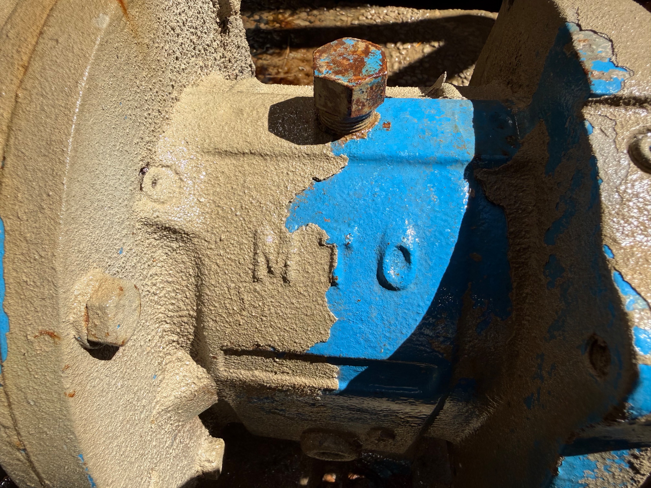 GOULDS 3196 MTO PUMP & MOTOR ASSEMBLY - undefined