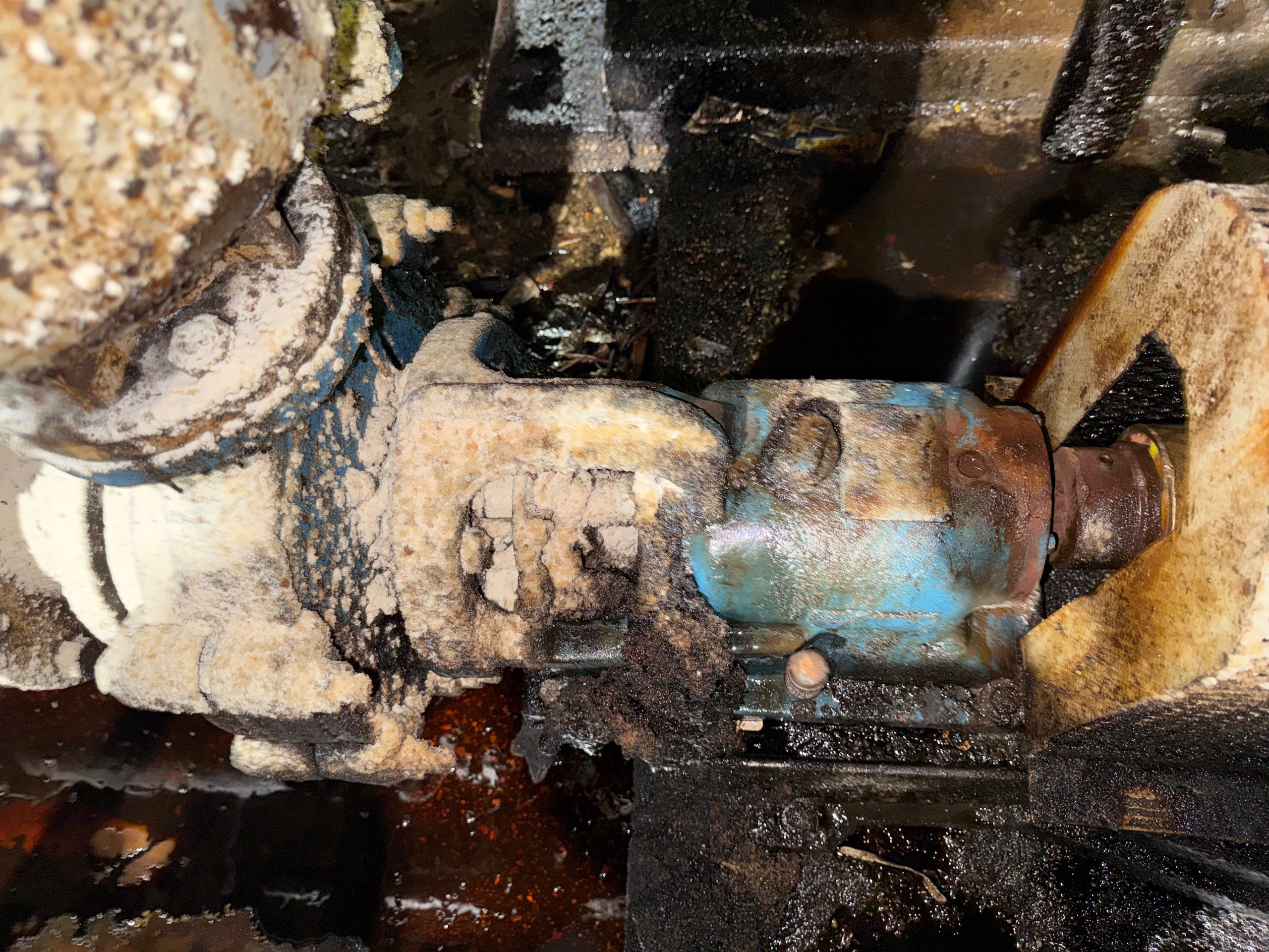 PUMP & MOTOR ASSEMBLY - undefined