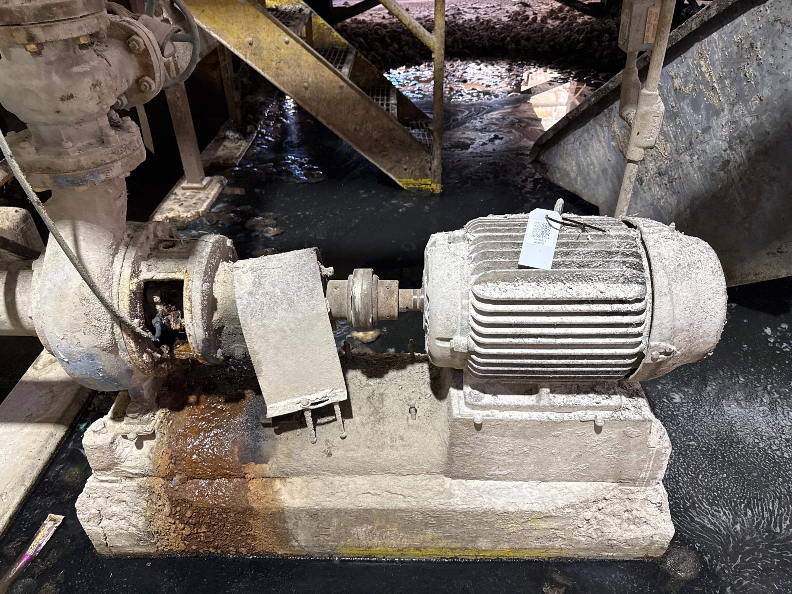 PUMP & MOTOR ASSEMBLY - undefined