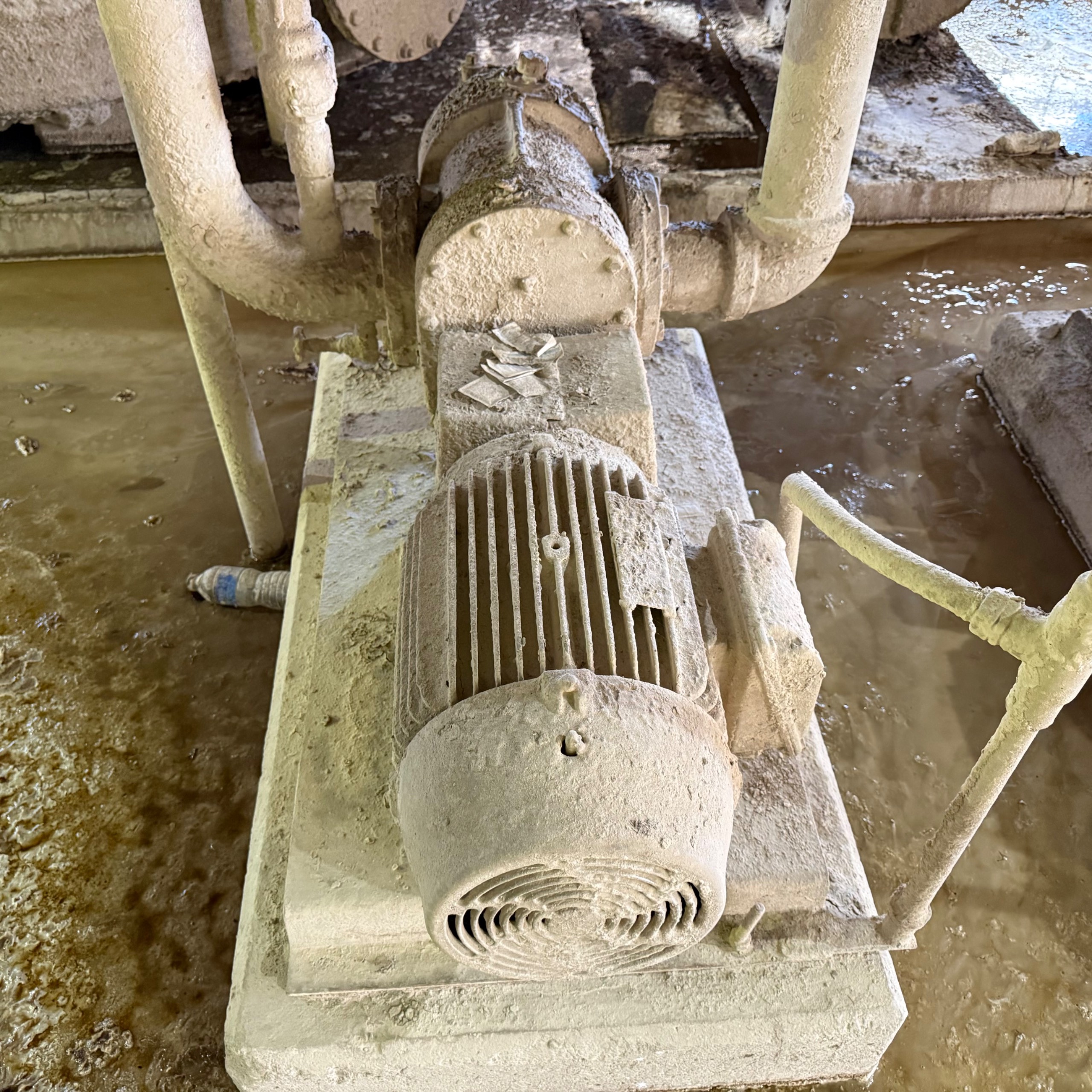 EIMCO ROTARY LOBE PUMP & MOTOR ASSEMBLY - undefined