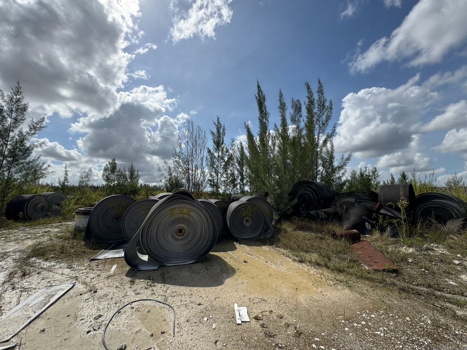 BULK QTY OF CONVEYOR BELTS - undefined