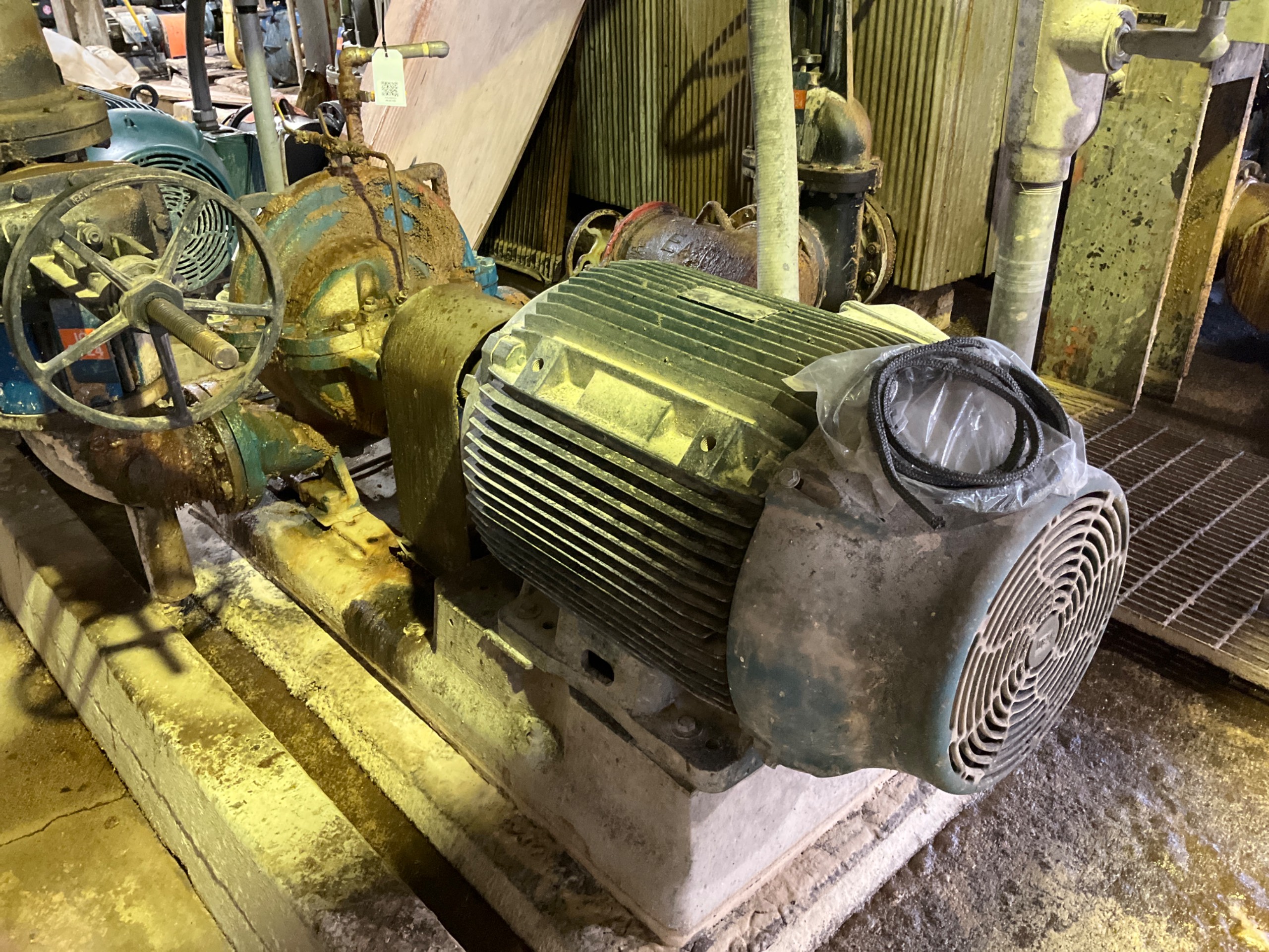 GOULDS PUMP & 100HP MOTOR ASSEMBLY - undefined
