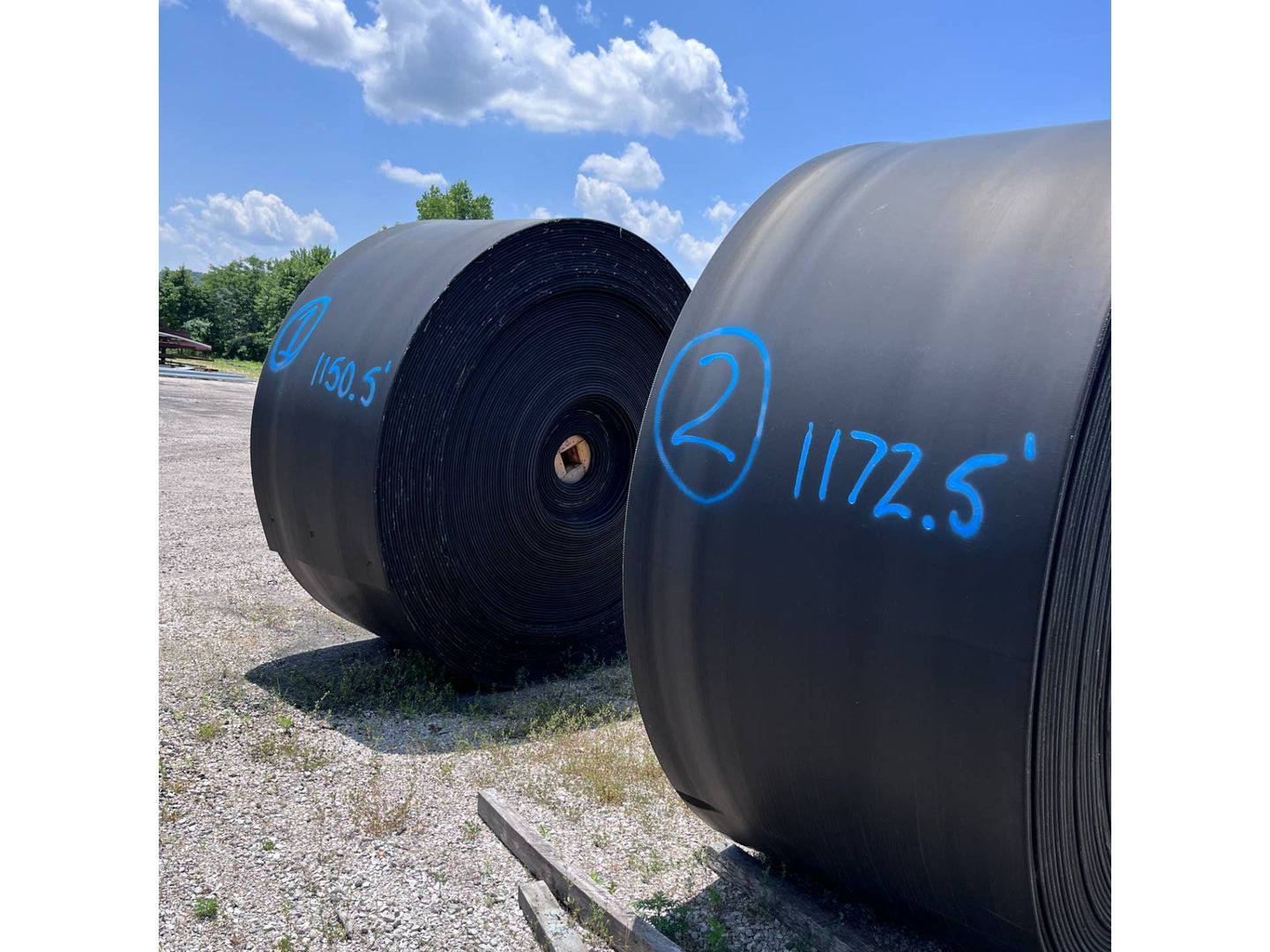 BULK QTY OF CONVEYOR BELTS - undefined