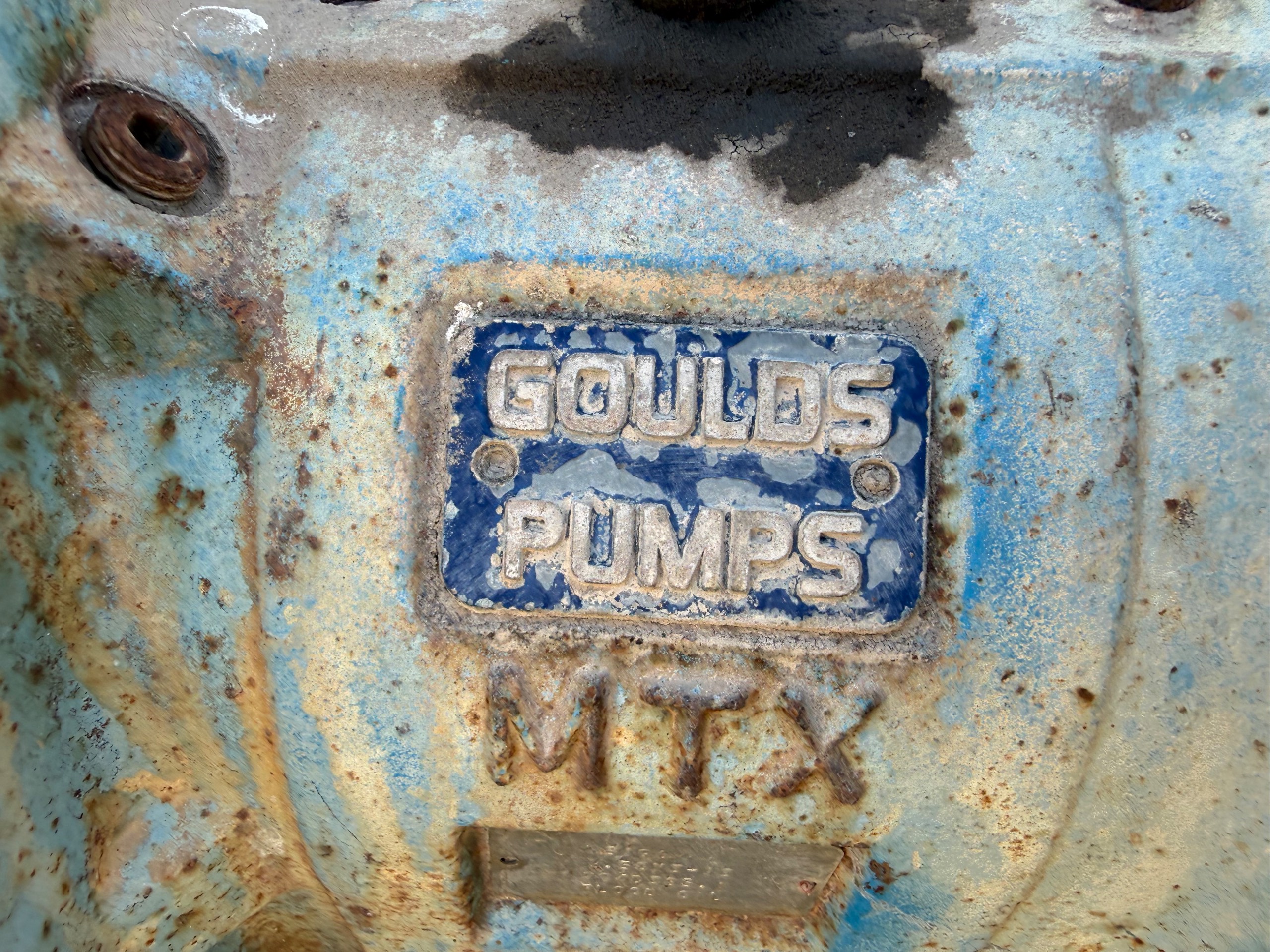 GOULDS 3196 PUMP & 30 HP MOTOR ASSEMBLY - undefined