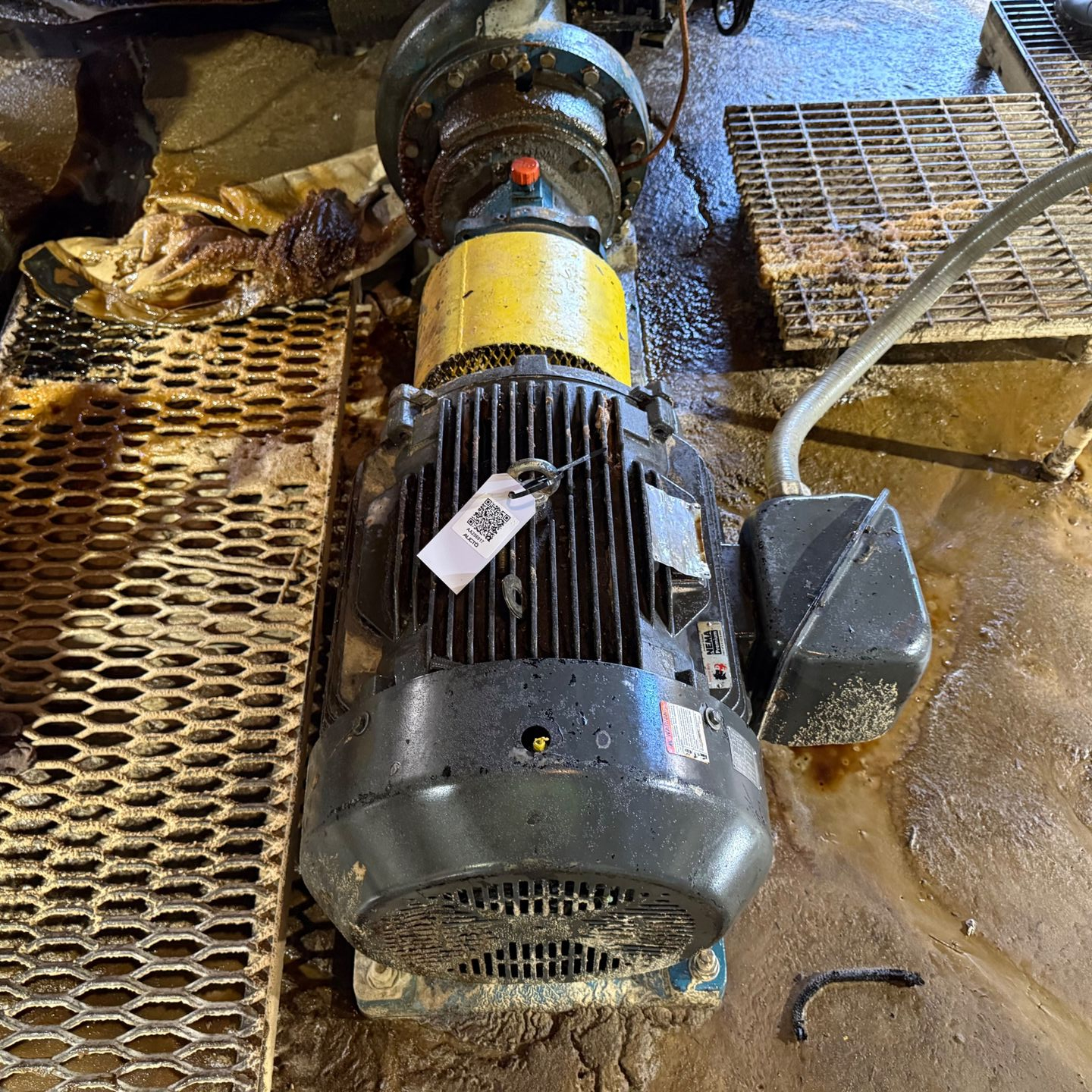 SUMMIT 3196 LTO PUMP & MOTOR ASSEMBLY - undefined