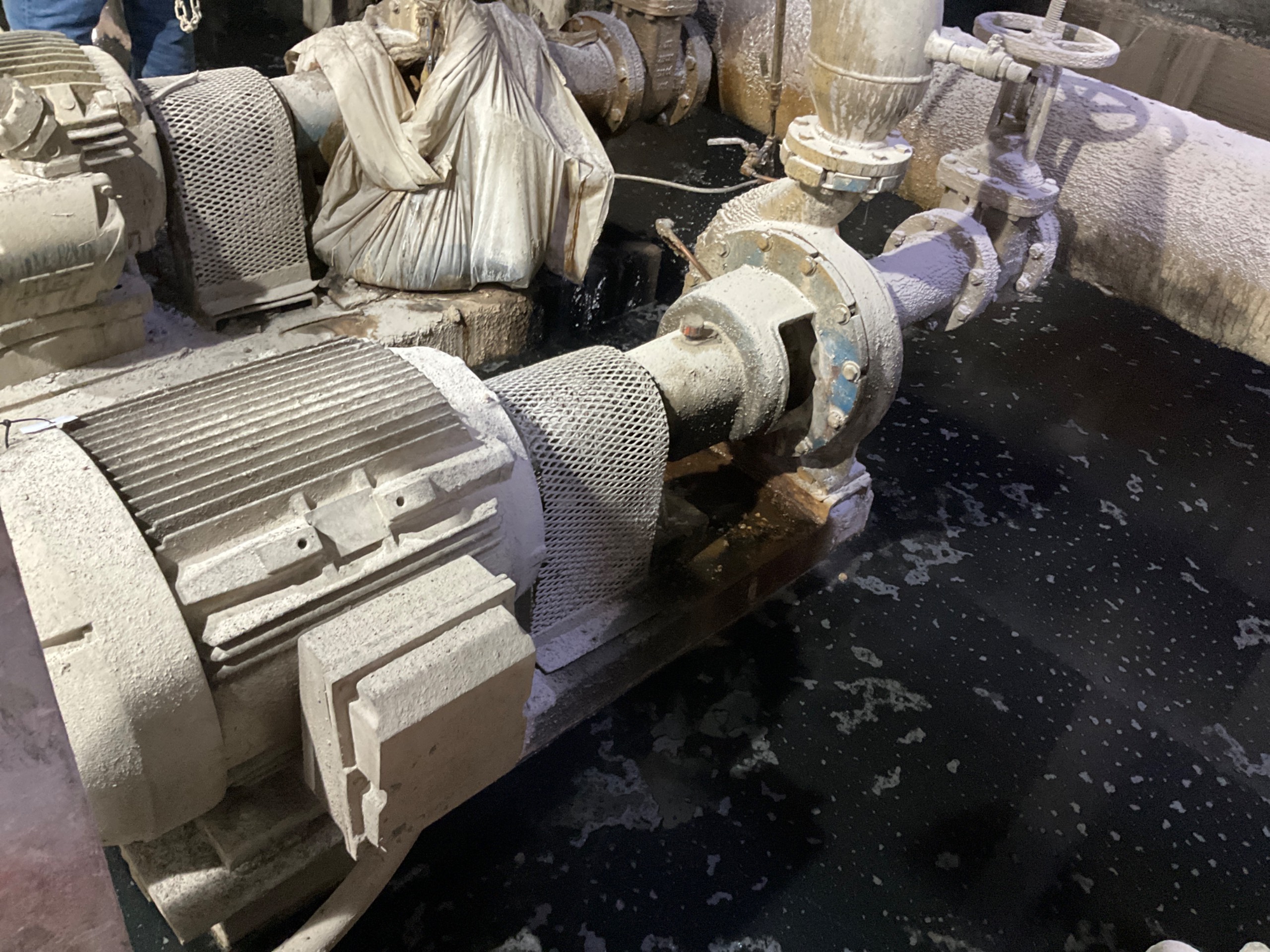 STAINLESS CENTRIFUGAL PUMP & 100 HP MOTOR ASSEMBLY - undefined