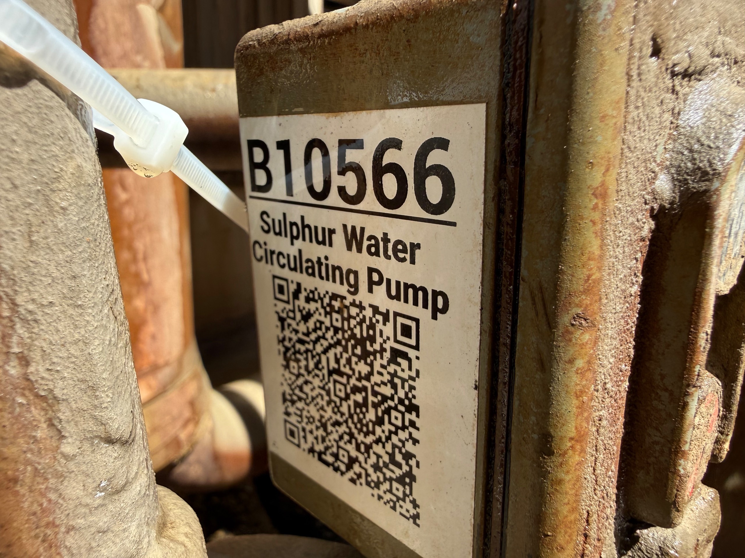 GOULDS 3196 MTO PUMP & MOTOR ASSEMBLY - undefined