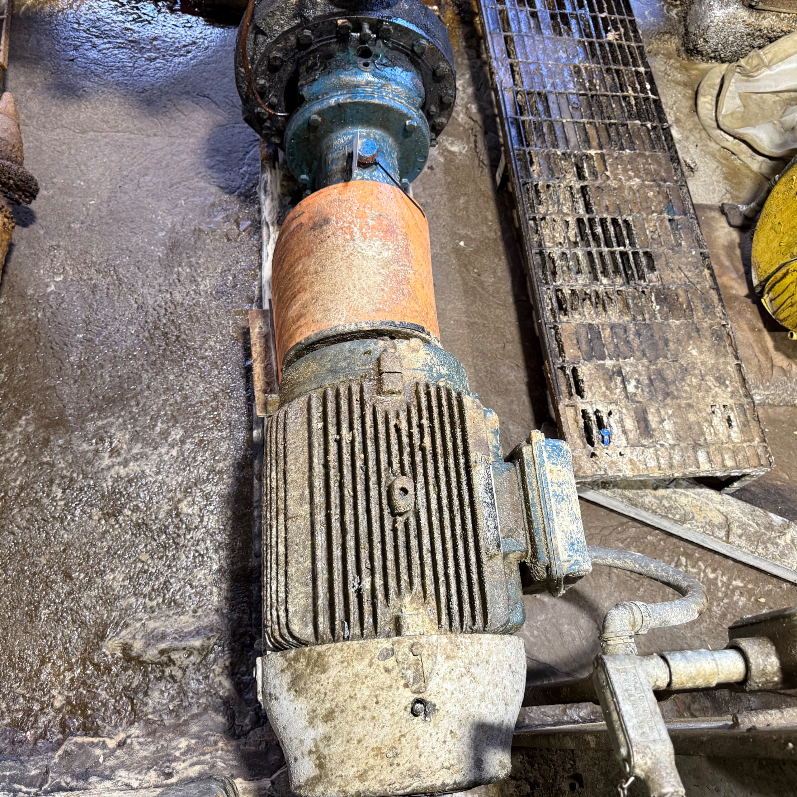 GOULDS 3196 PUMP & MOTOR ASSEMBLY - undefined