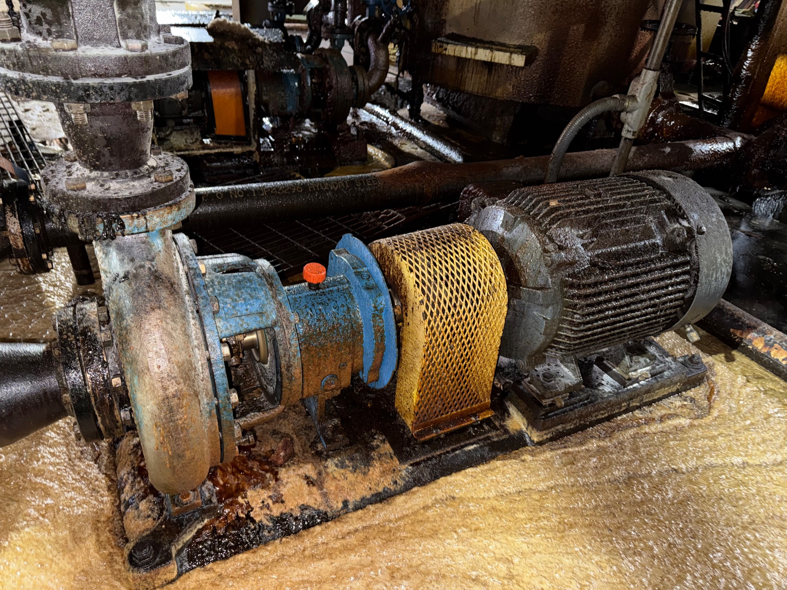 GOULDS 3196 MTO PUMP & MOTOR ASSEMBLY - undefined