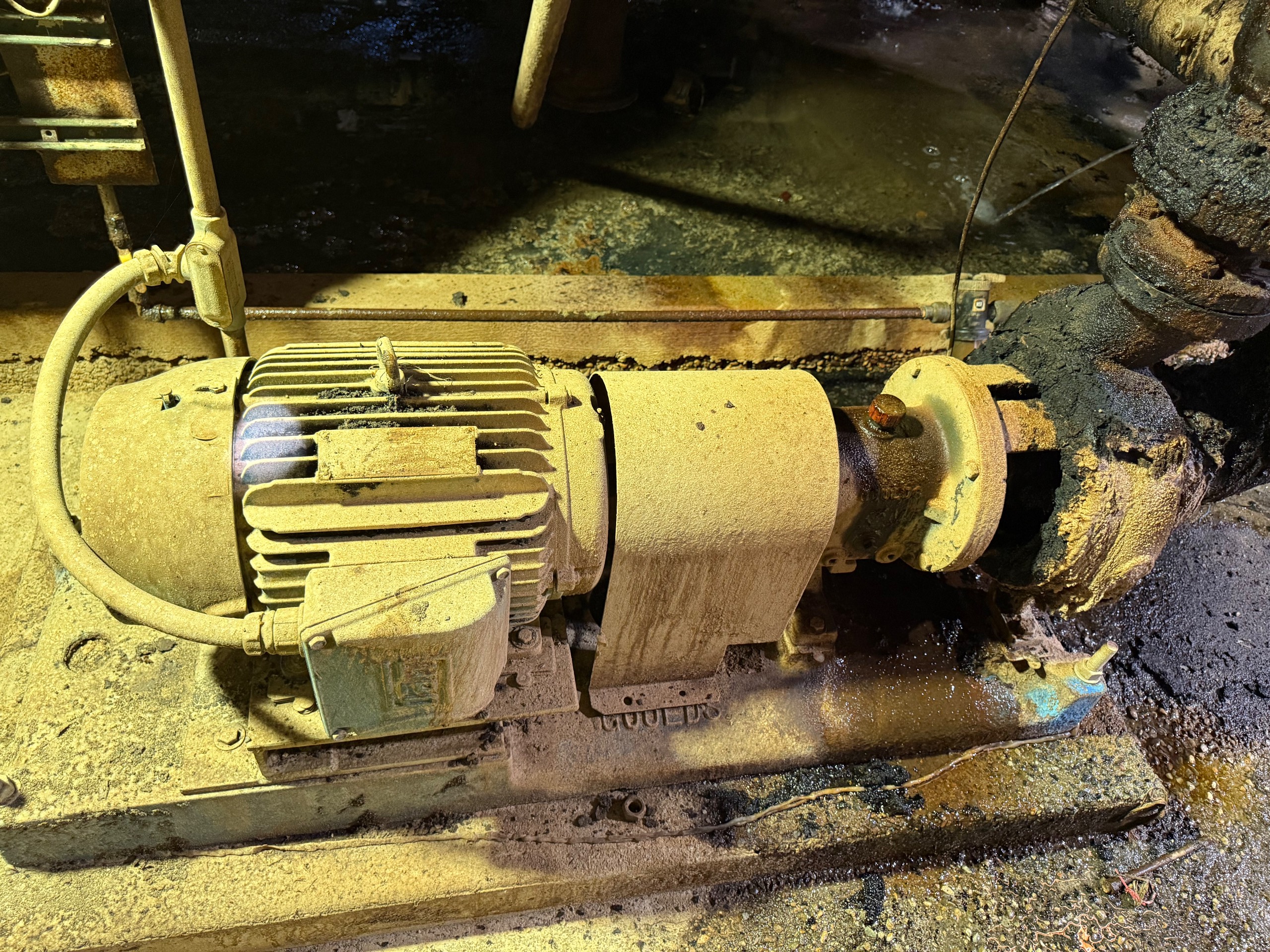 GOULDS 3196 PUMP & 15HP MOTOR ASSEMBLY - undefined