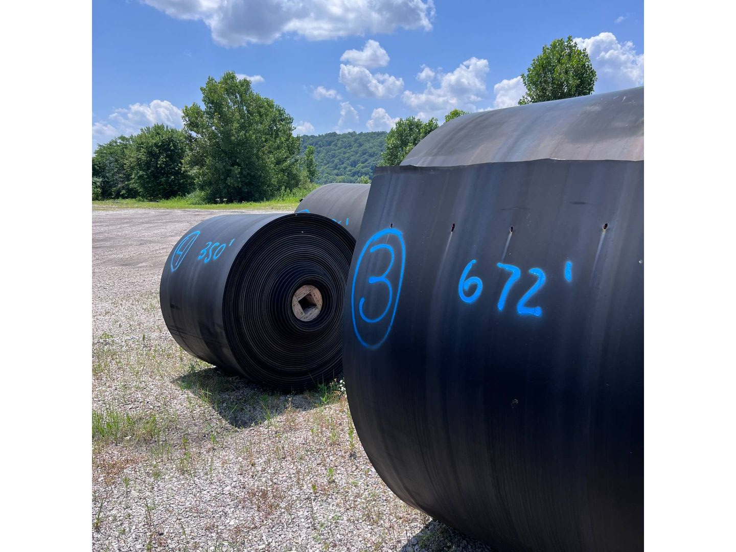 BULK QTY OF CONVEYOR BELTS - undefined