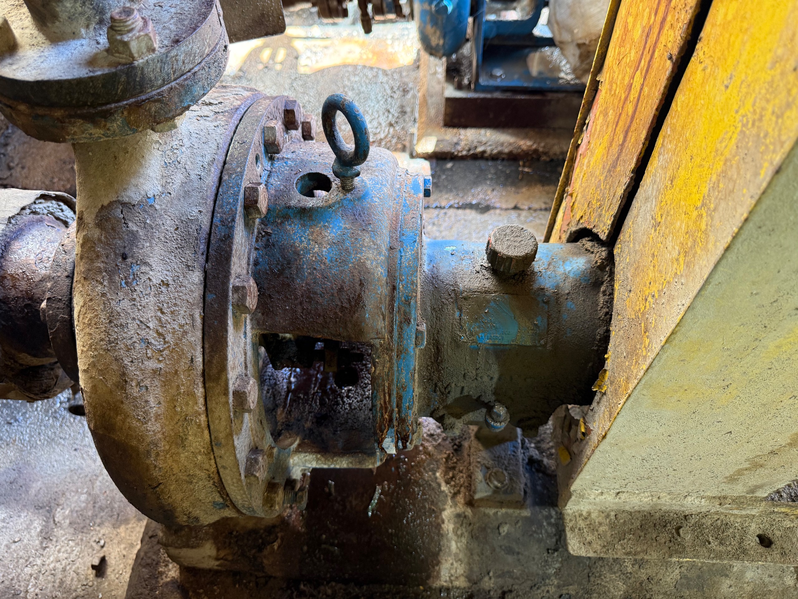 GOULDS 3196 PUMP & MOTOR ASSEMBLY - undefined
