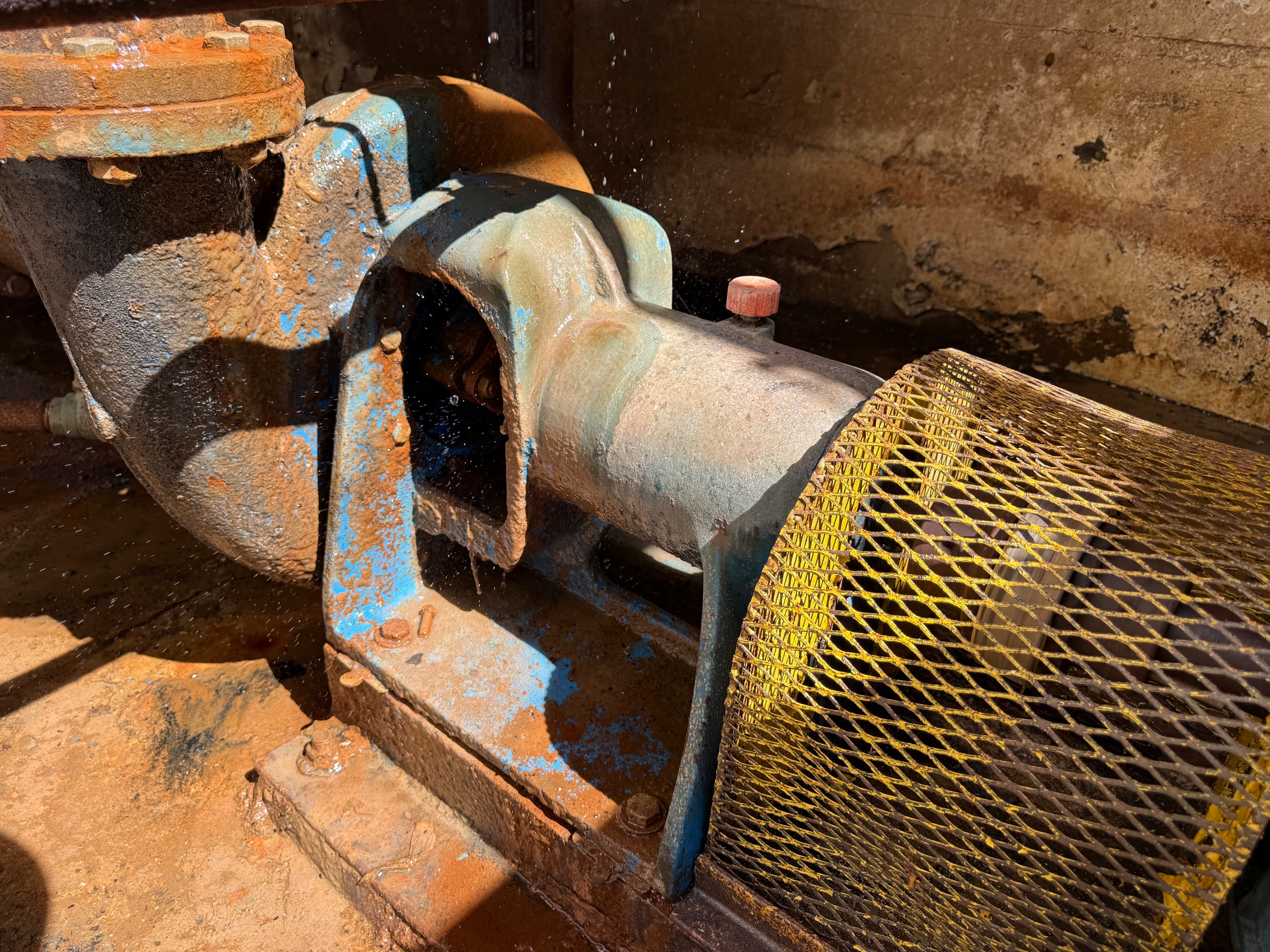 PUMP & MOTOR ASSEMBLY - undefined