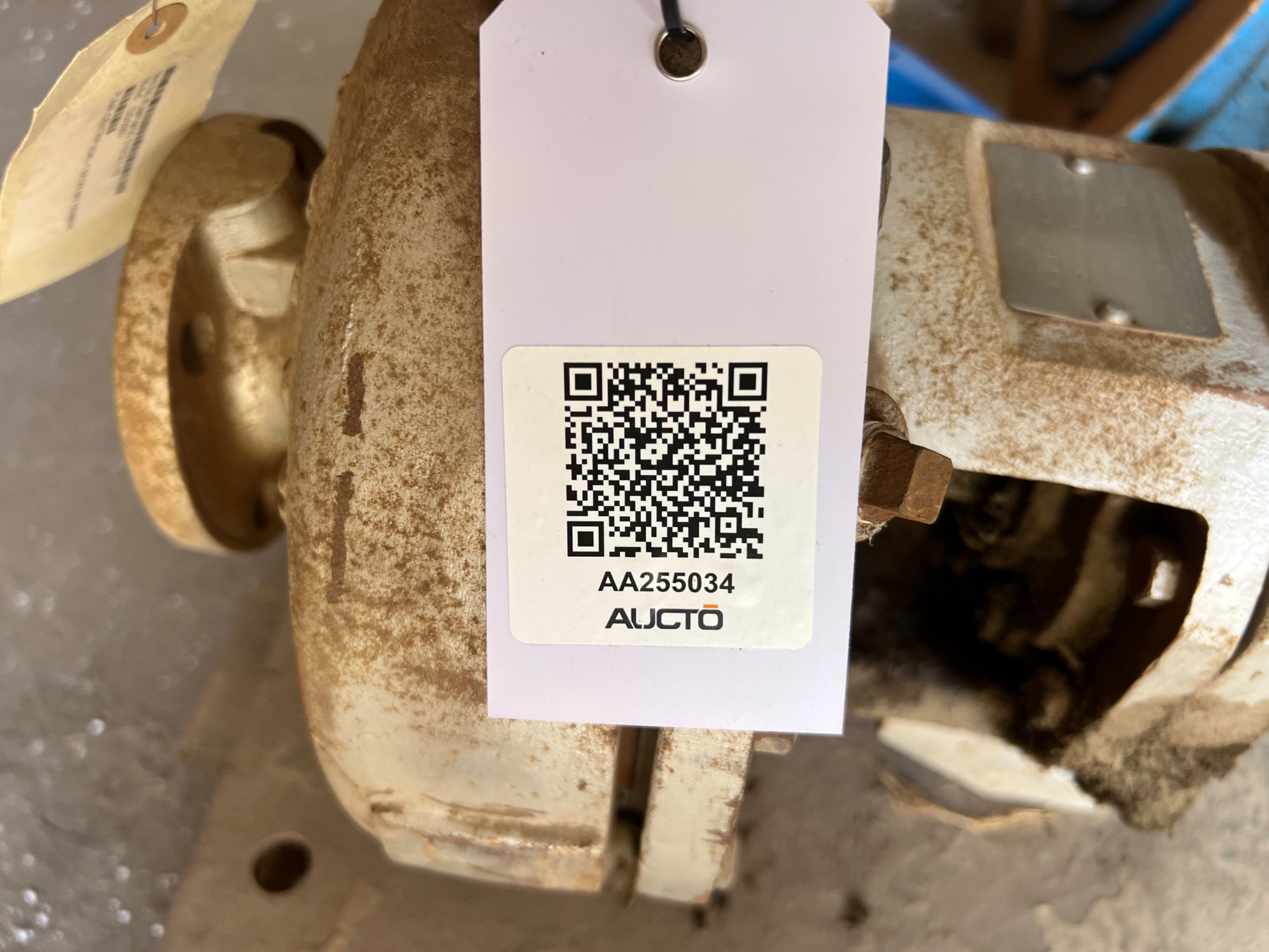 BULK QTY OF PUMP AND MOTOR ASSEMBLY - undefined