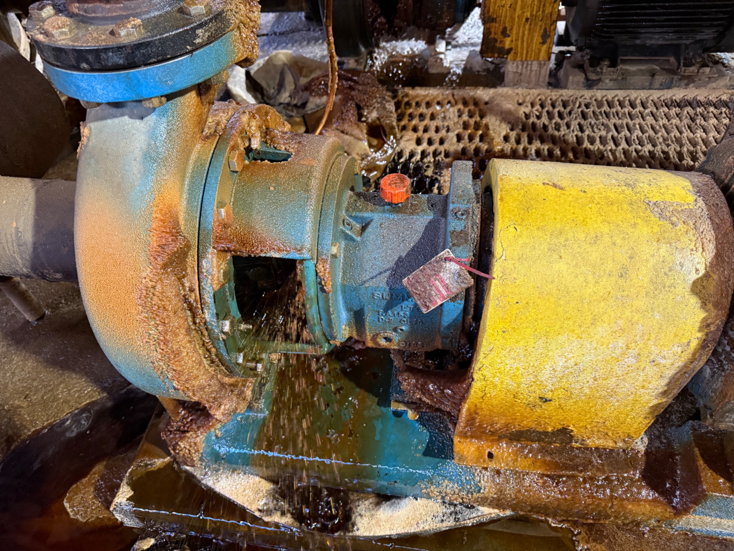 SUMMIT 2196LTO PUMP & MOTOR ASSEMBLY - undefined