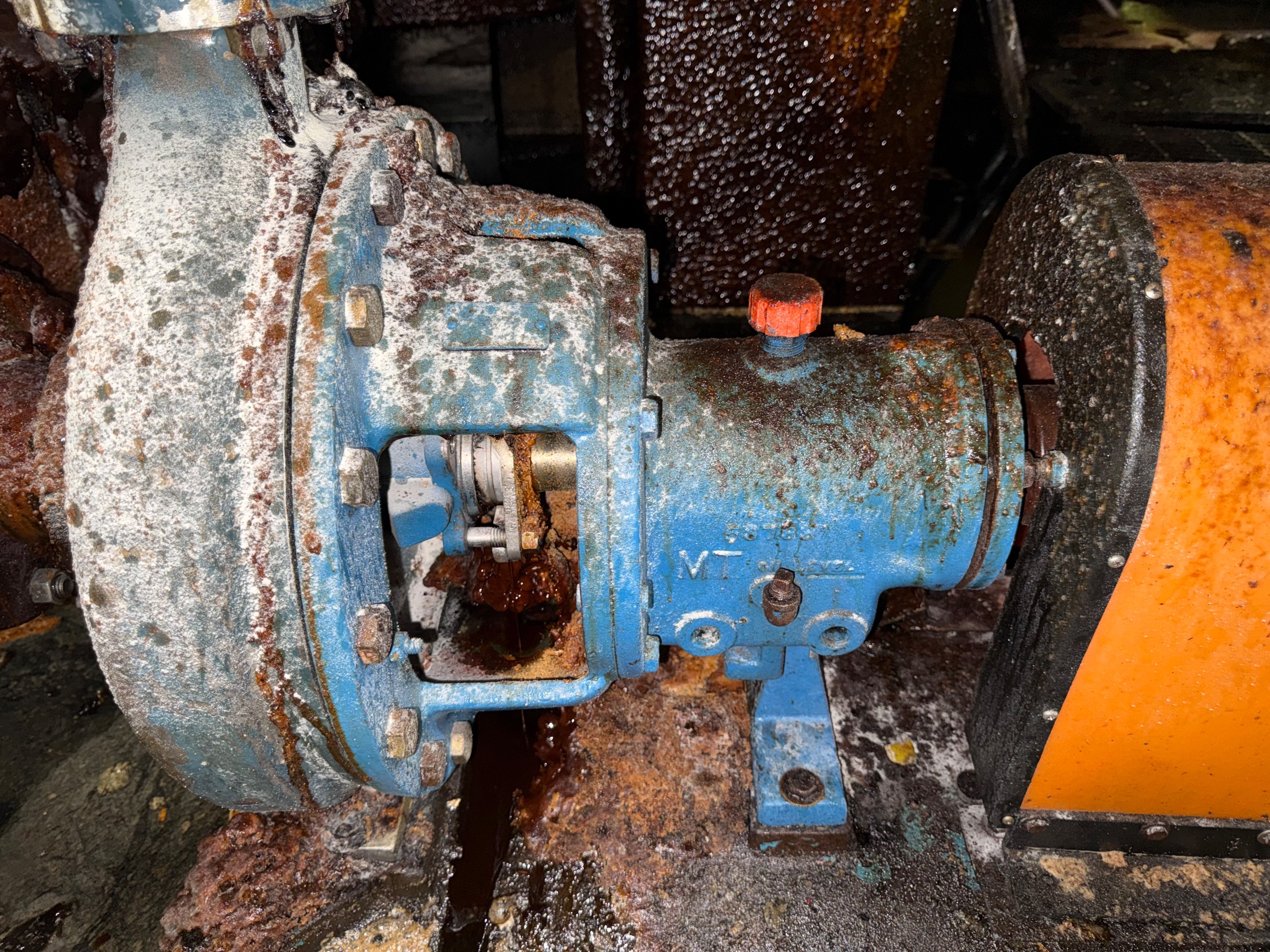 GOULDS 3196 MTO PUMP & MOTOR ASSEMBLY - undefined