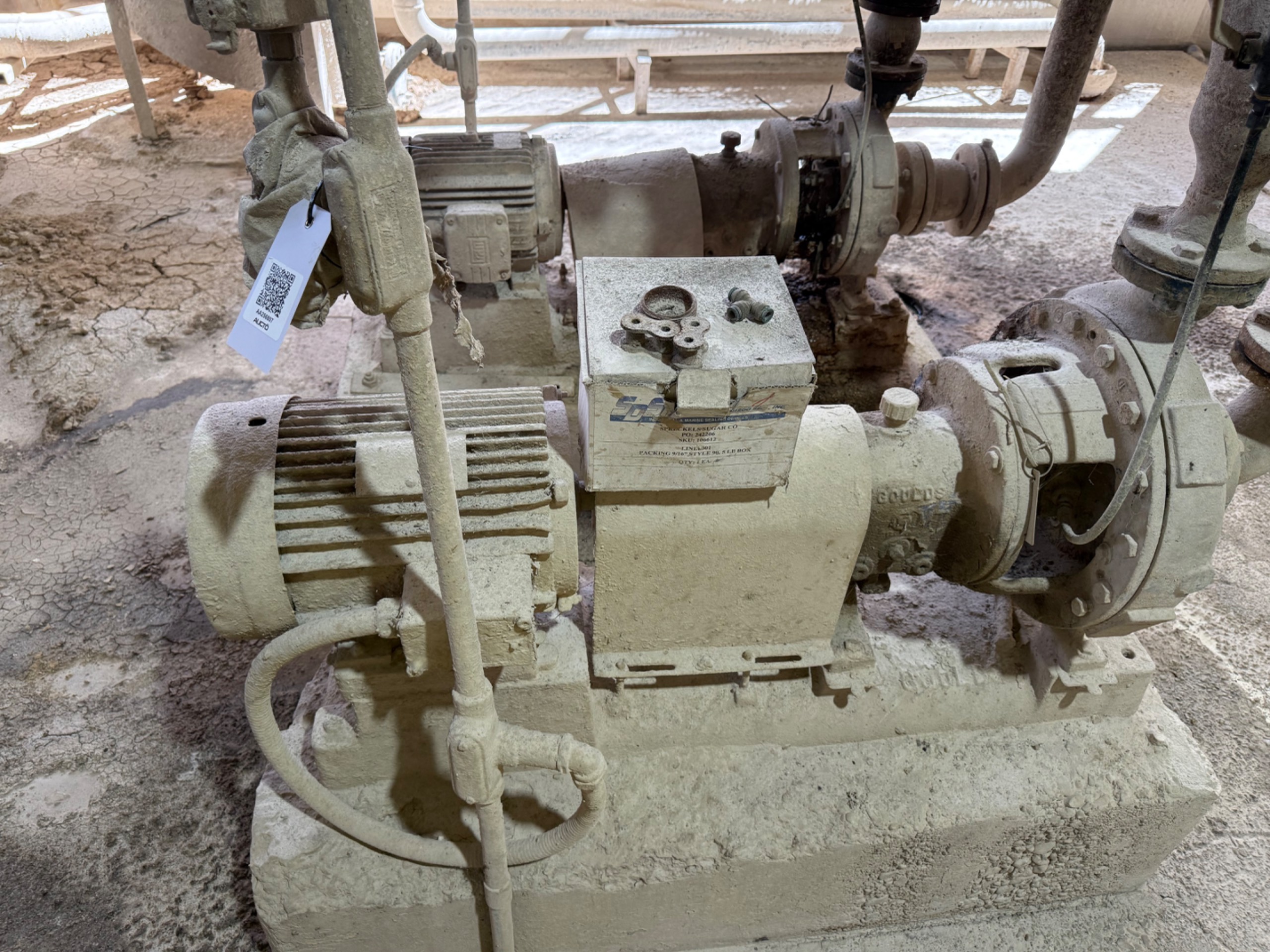 GOULDS MT 3196 PUMP & MOTOR ASSEMBLY - undefined