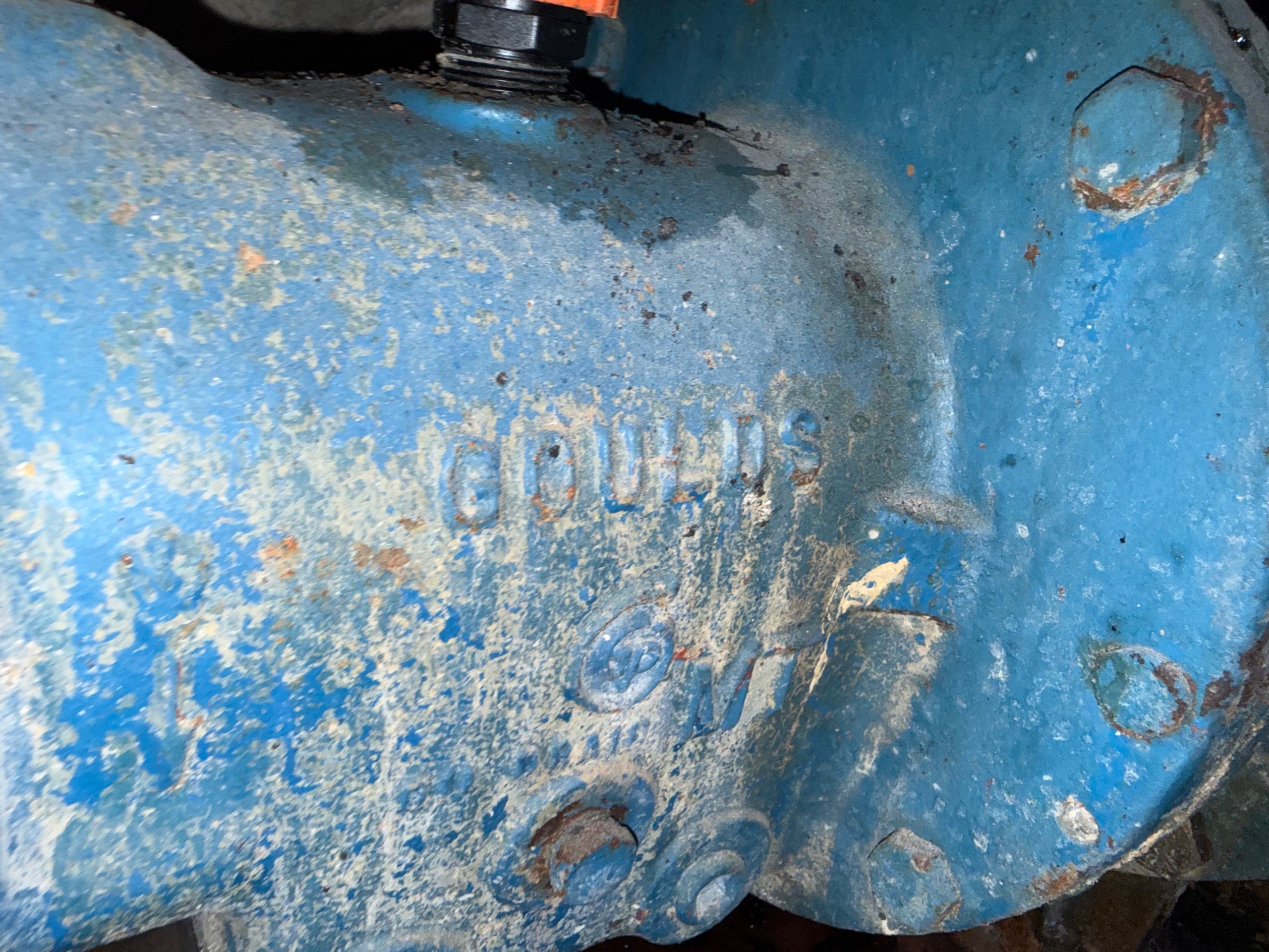GOULDS 3196 PUMP & MOTOR ASSEMBLY - undefined
