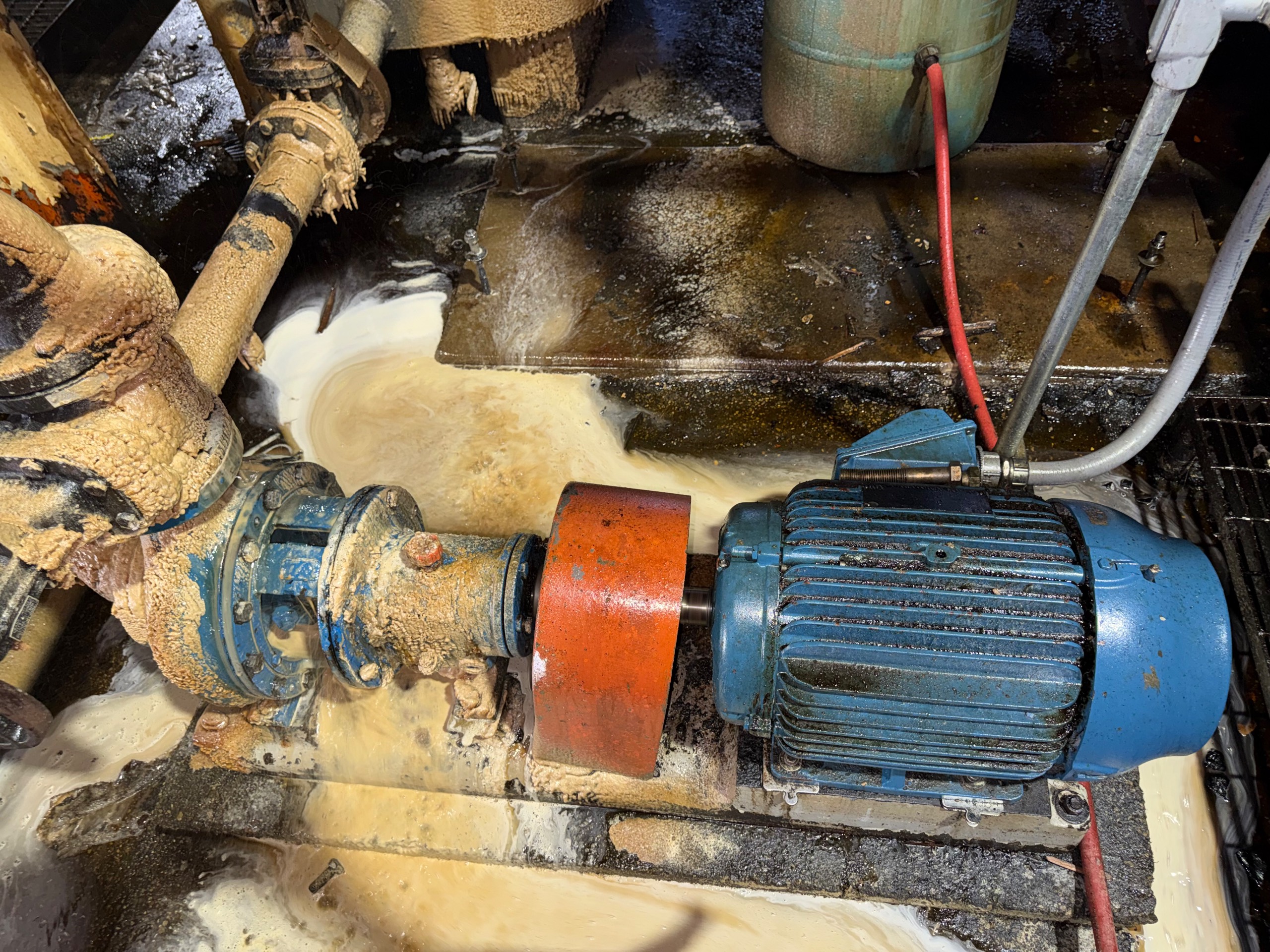 GOULDS 3196 PUMP & 30 HP MOTOR ASSEMBLY - undefined